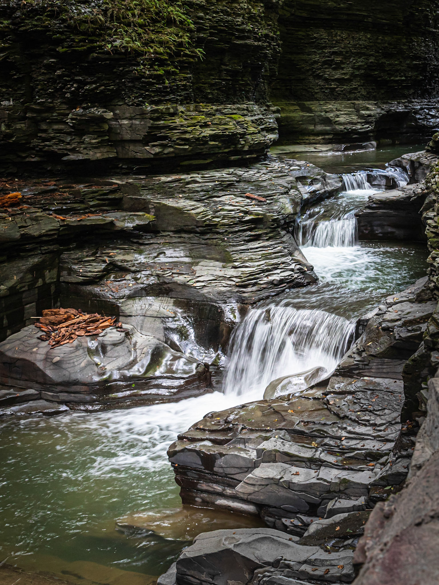 Gorge Trail