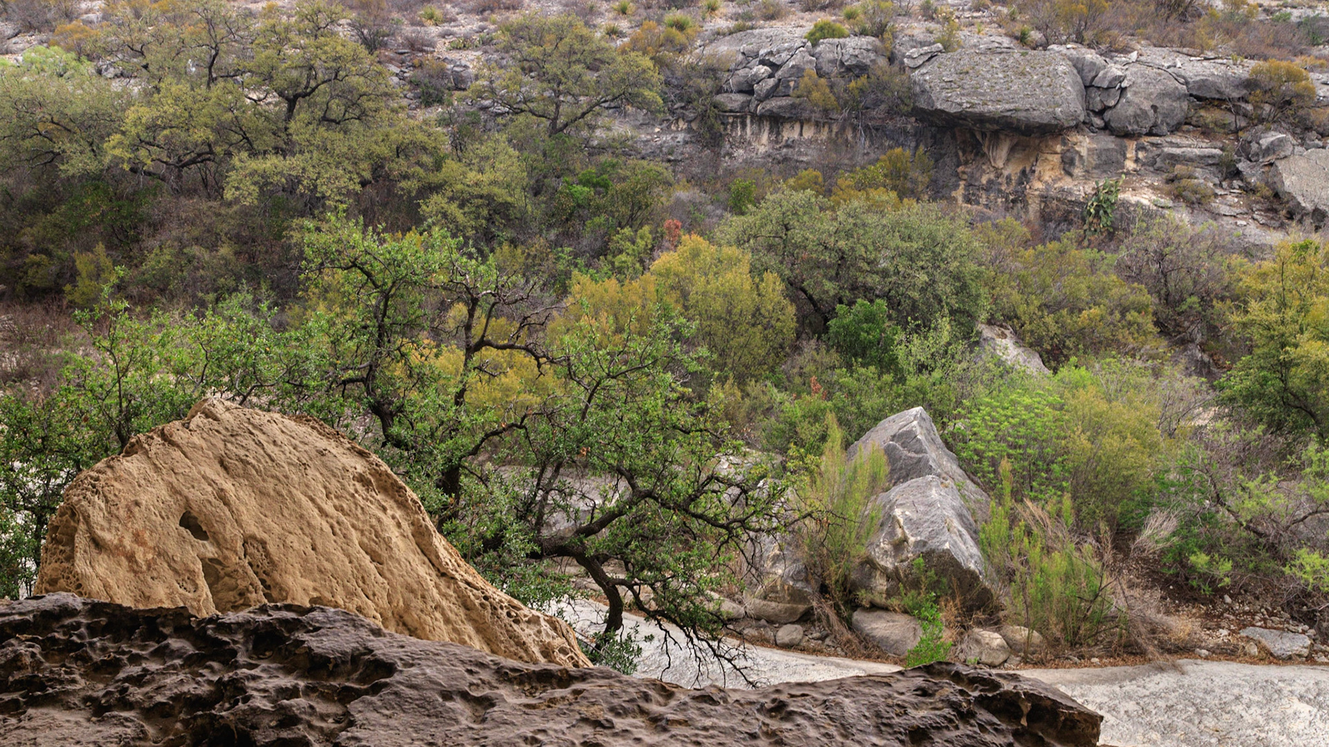 Devils River (Dry)