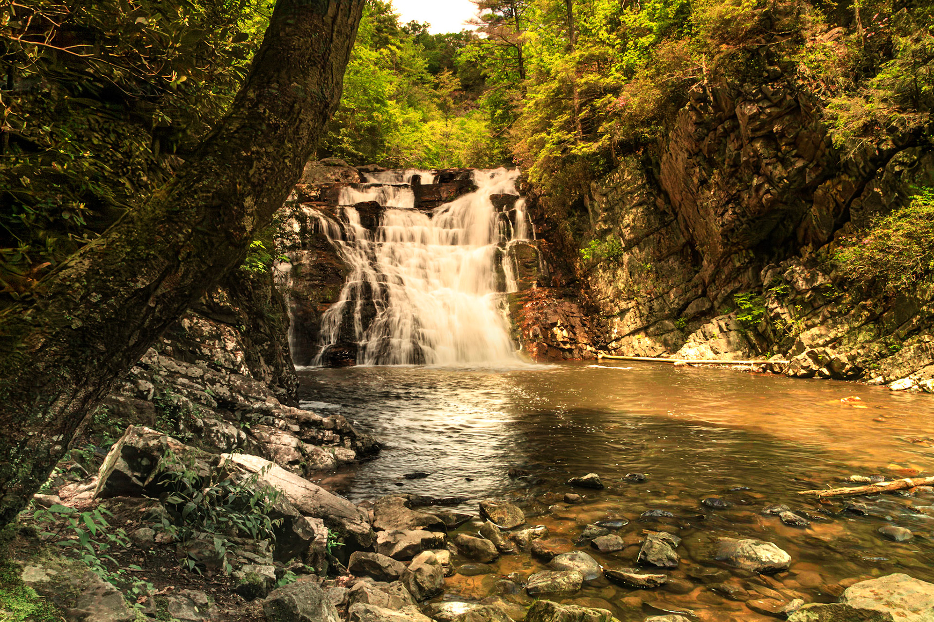 Laurel falls