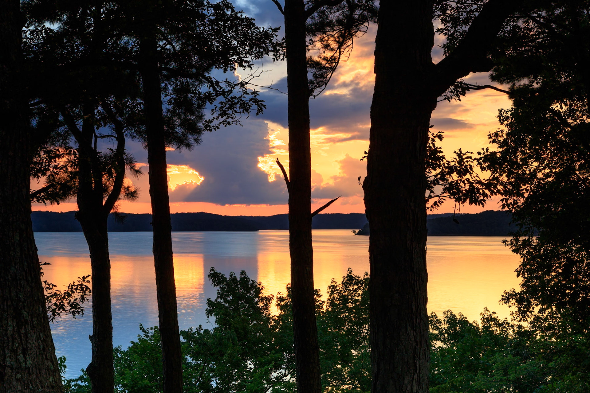 looking through the trees as the sunsets following a thunder storm