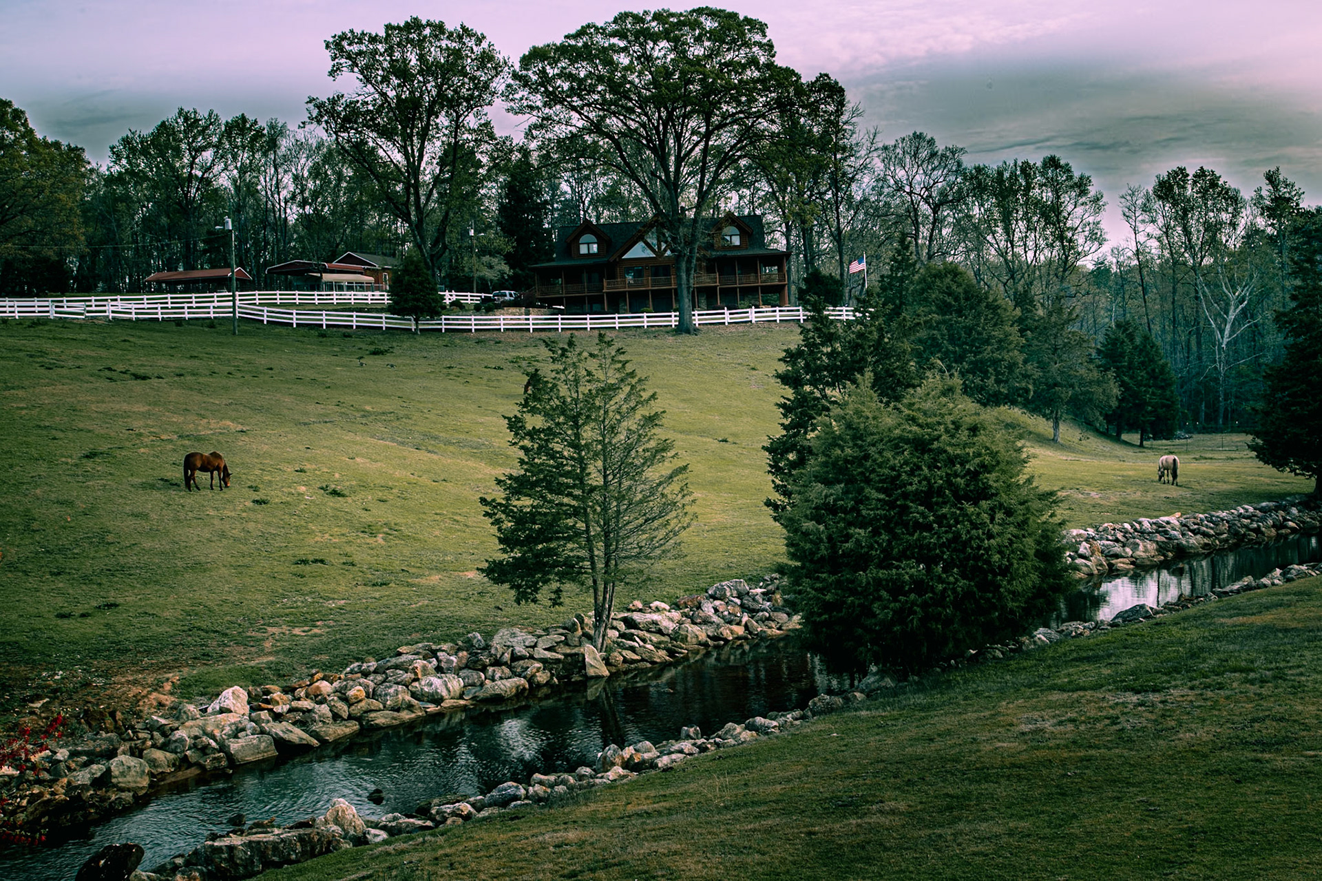 Horse Meadow