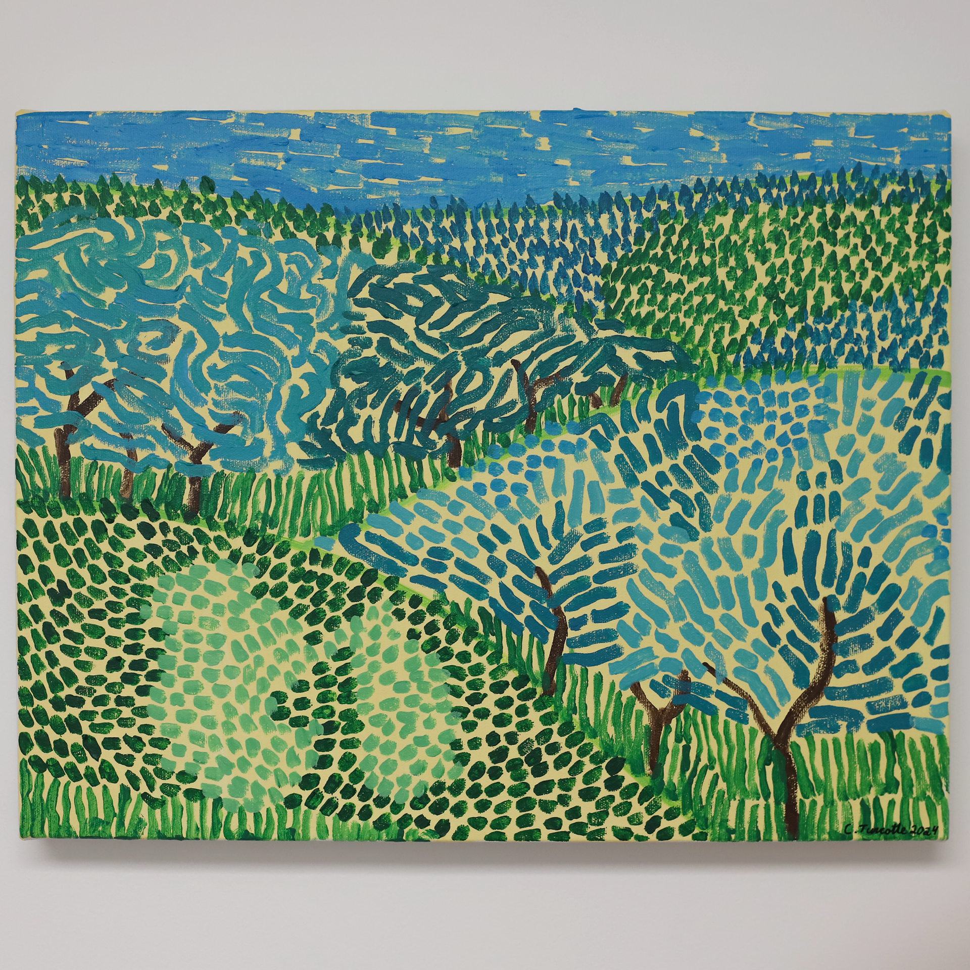 "Les Vallons" 11 x 14 *disponible* 300$
