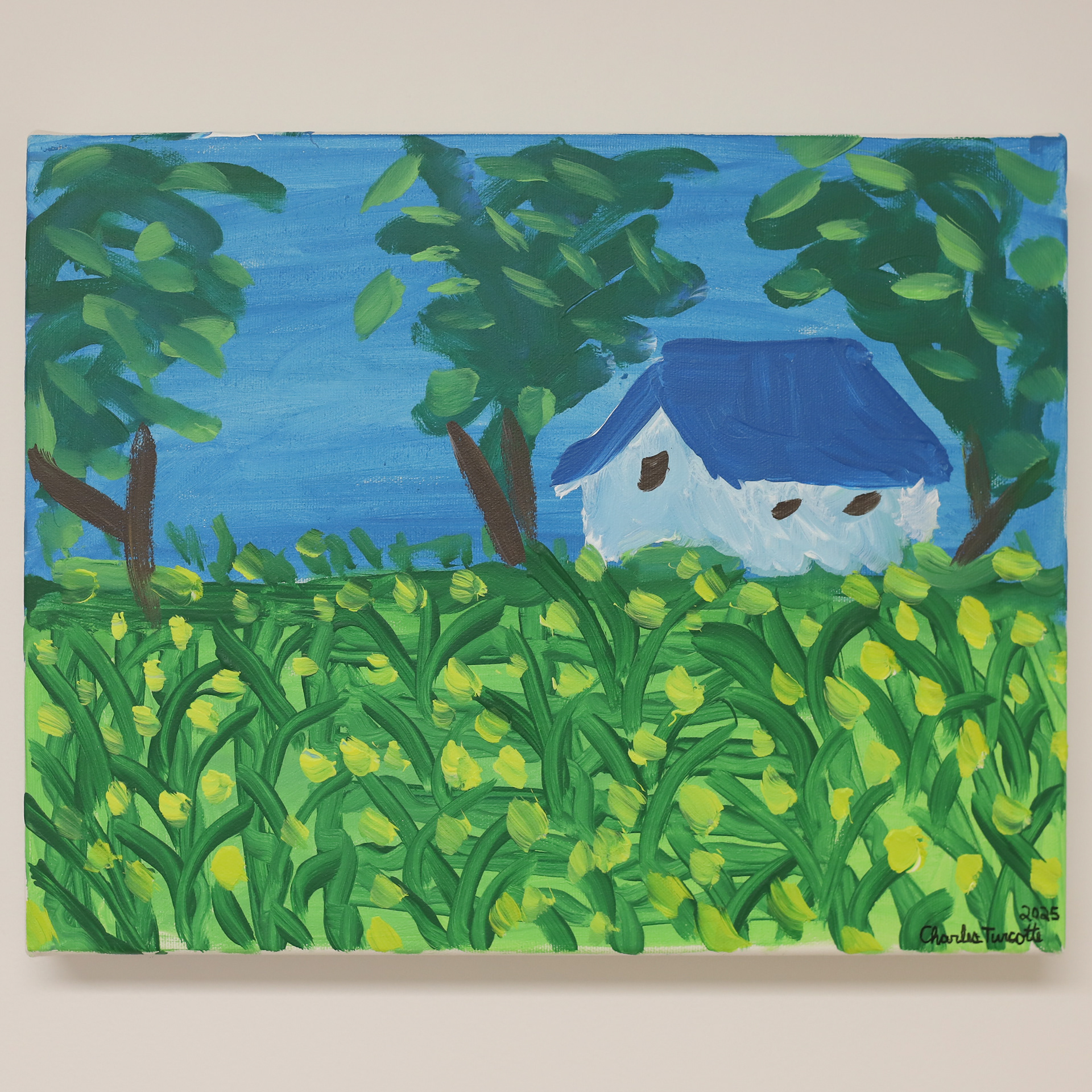 "La Maison Bleue" 11x16 *disponible* 200$