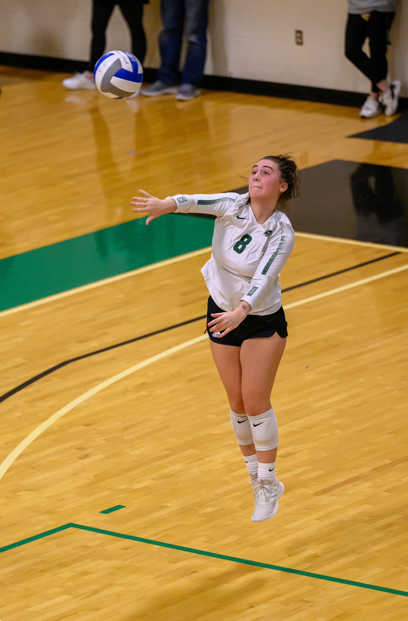 Nichols Volleyball