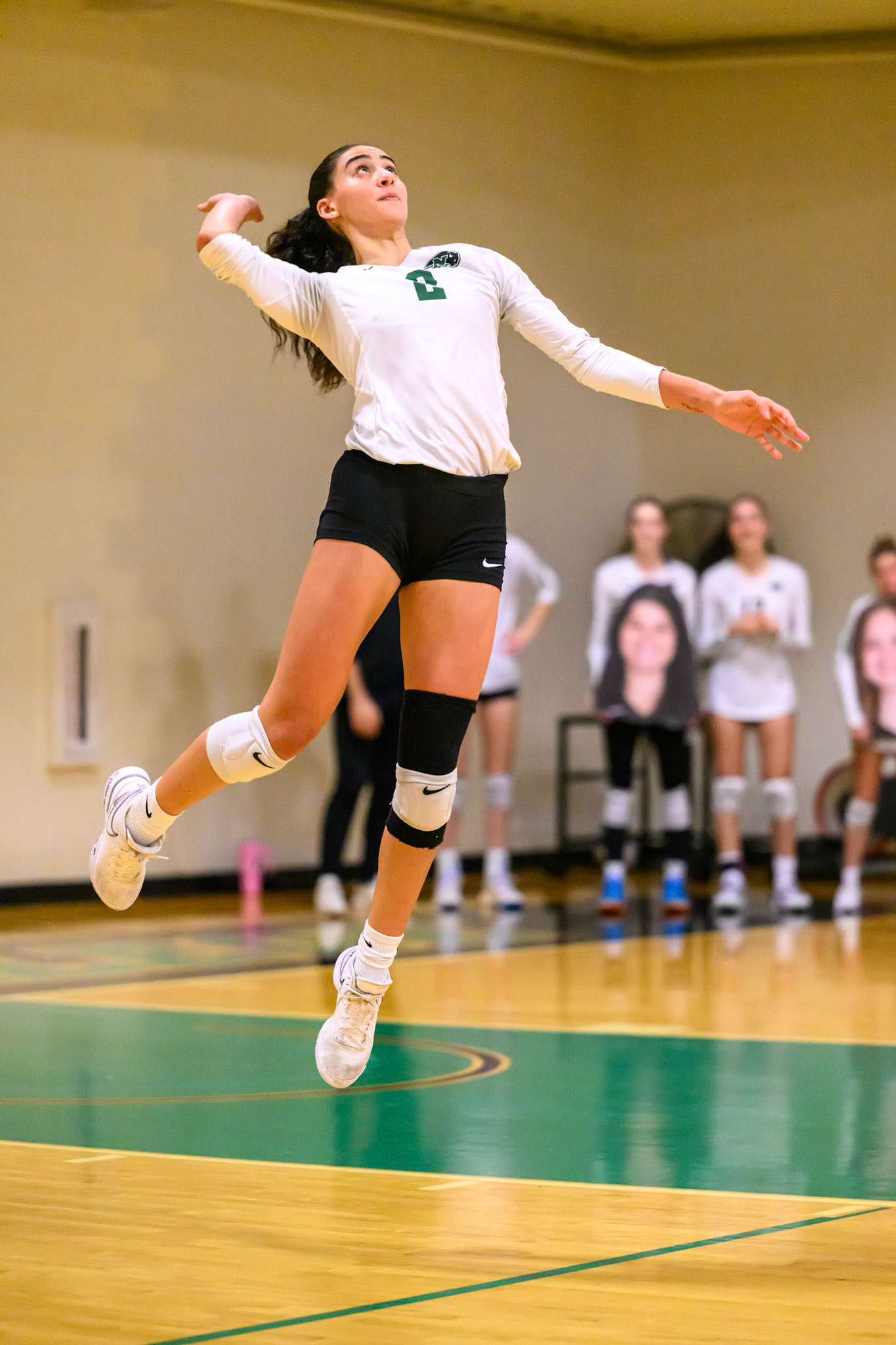 Nichols Volleyball