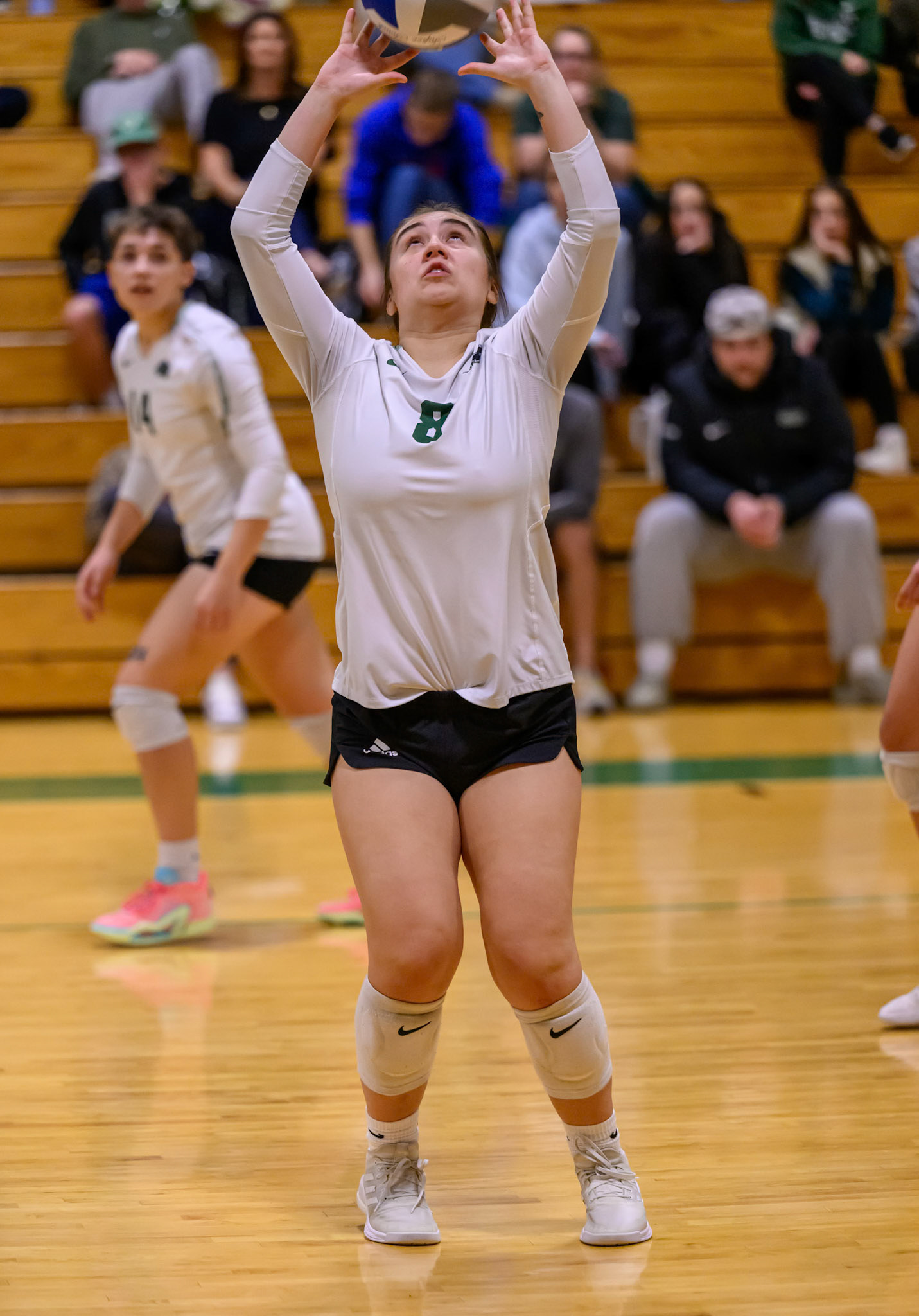 Nichols Volleyball