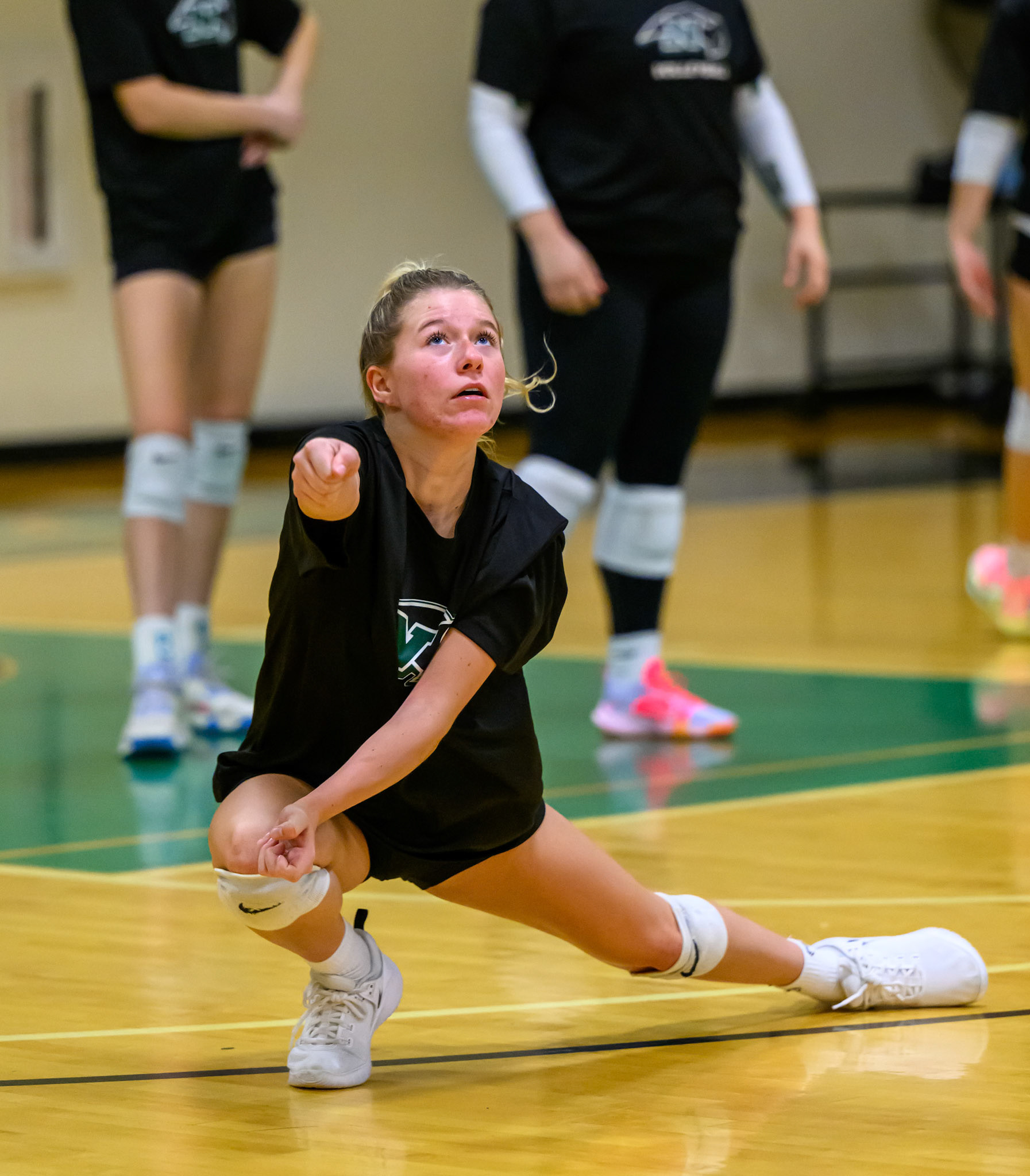 Nichols Volleyball