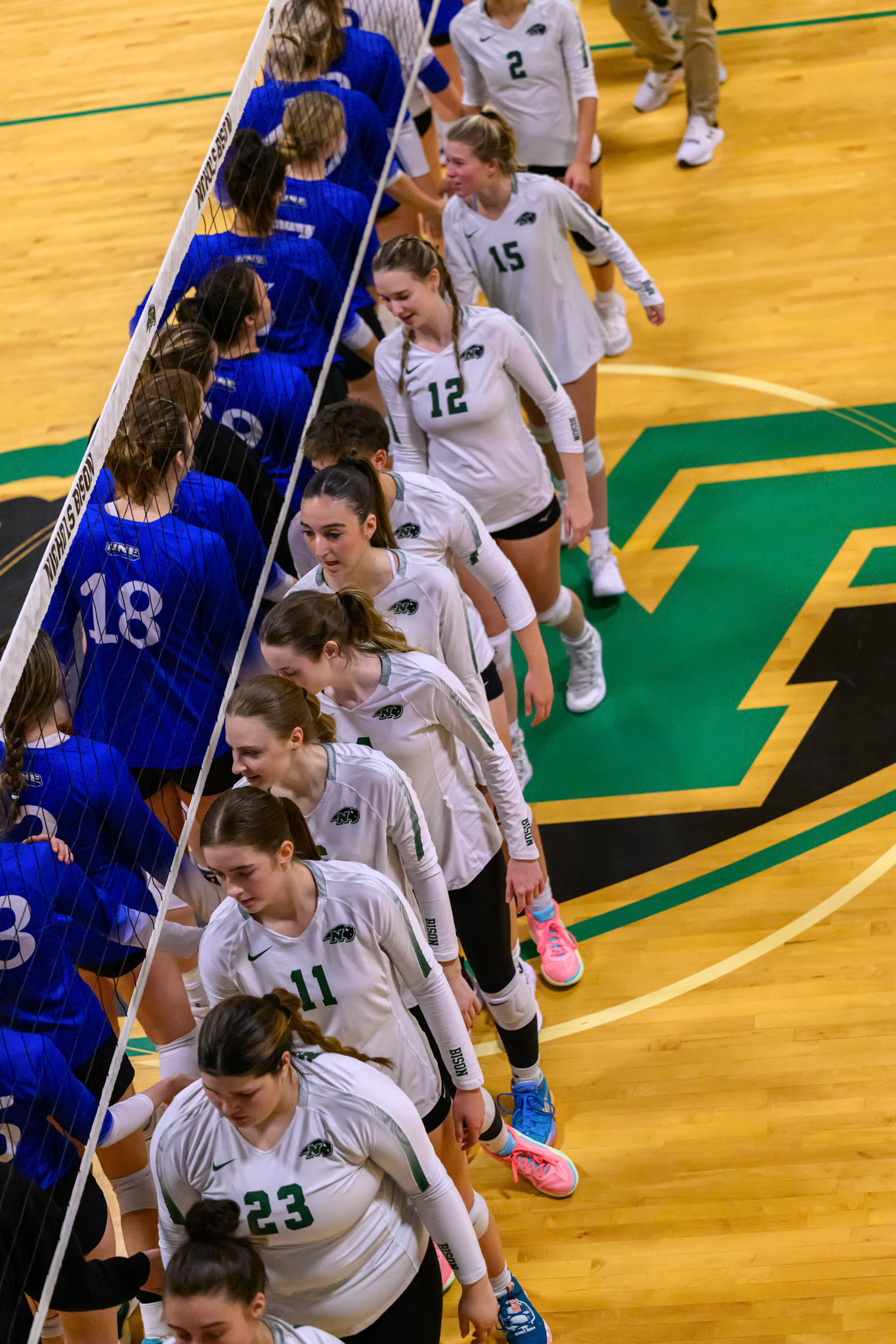 Nichols Volleyball