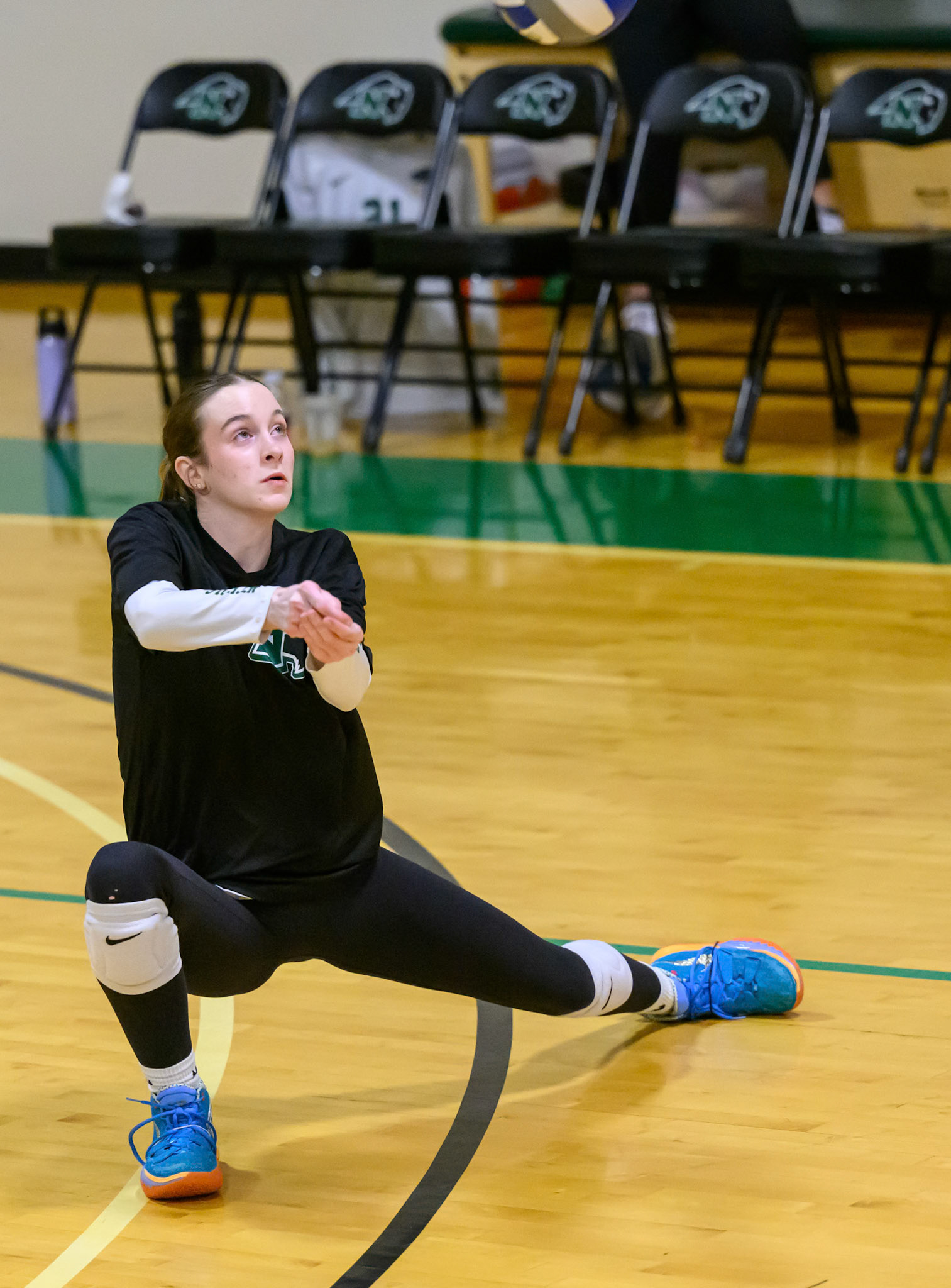 Nichols Volleyball