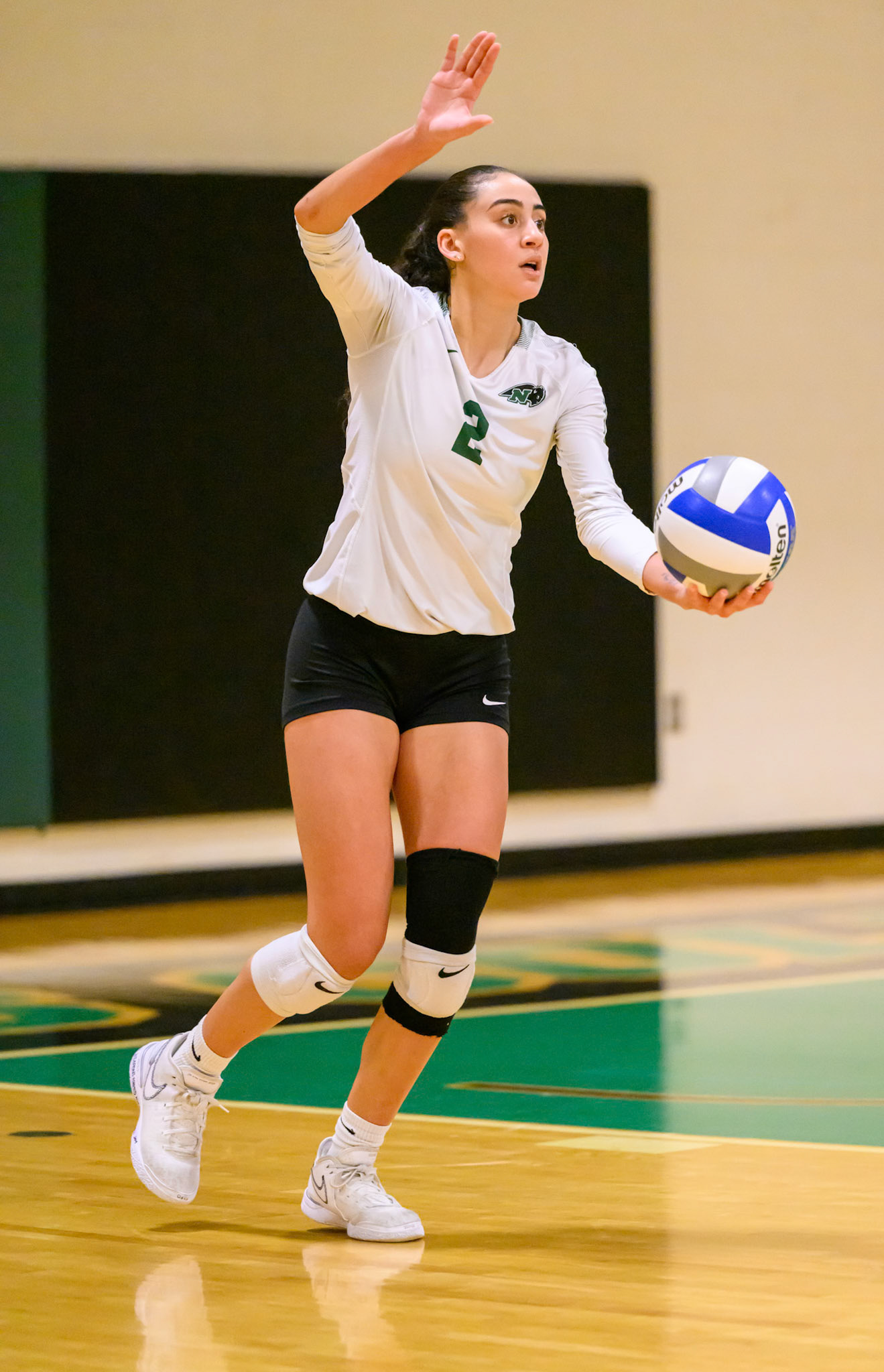 Nichols Volleyball