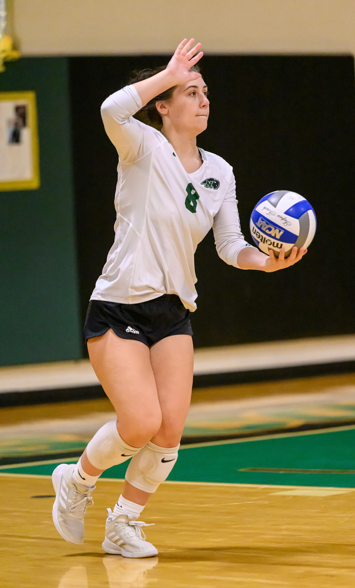 Nichols Volleyball