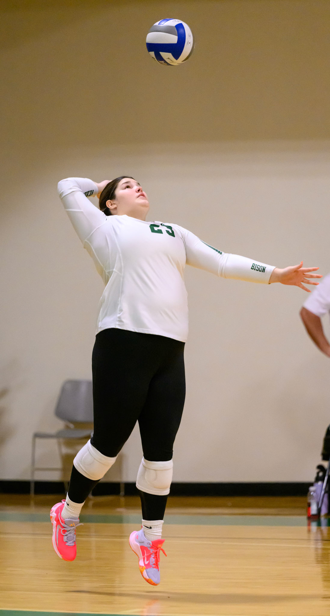 Nichols Volleyball