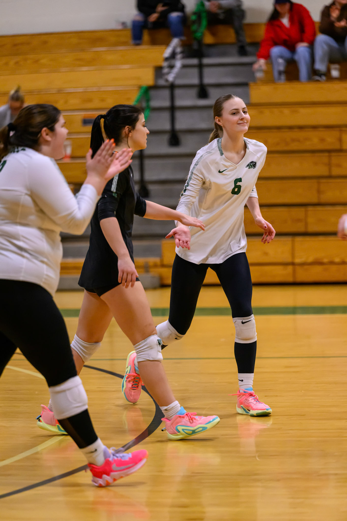 Nichols Volleyball