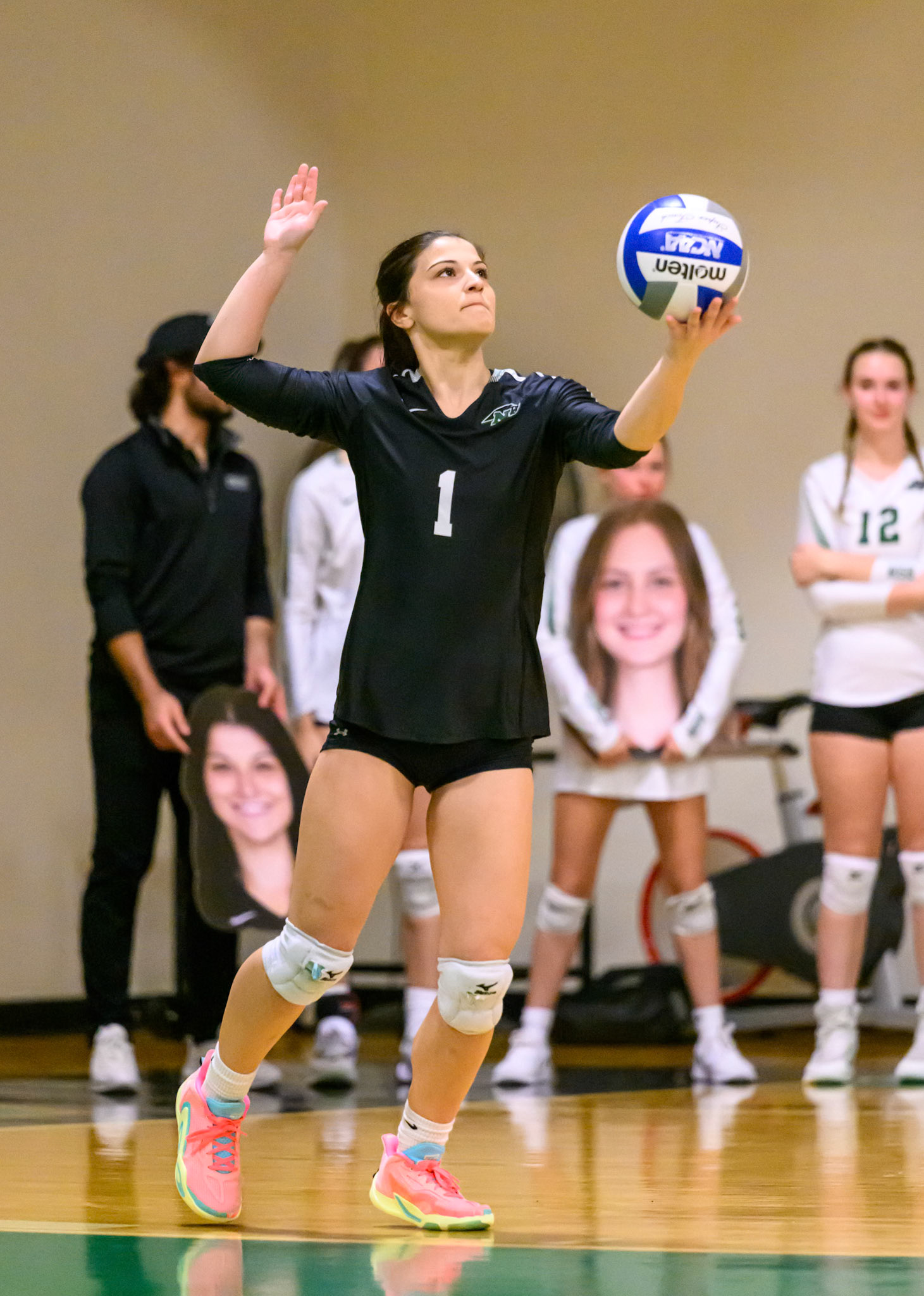 Nichols Volleyball