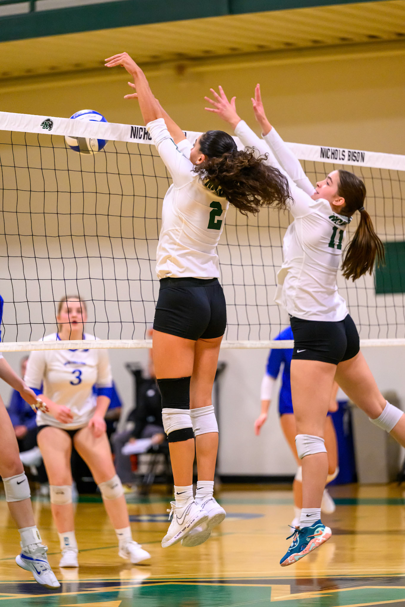 Nichols Volleyball