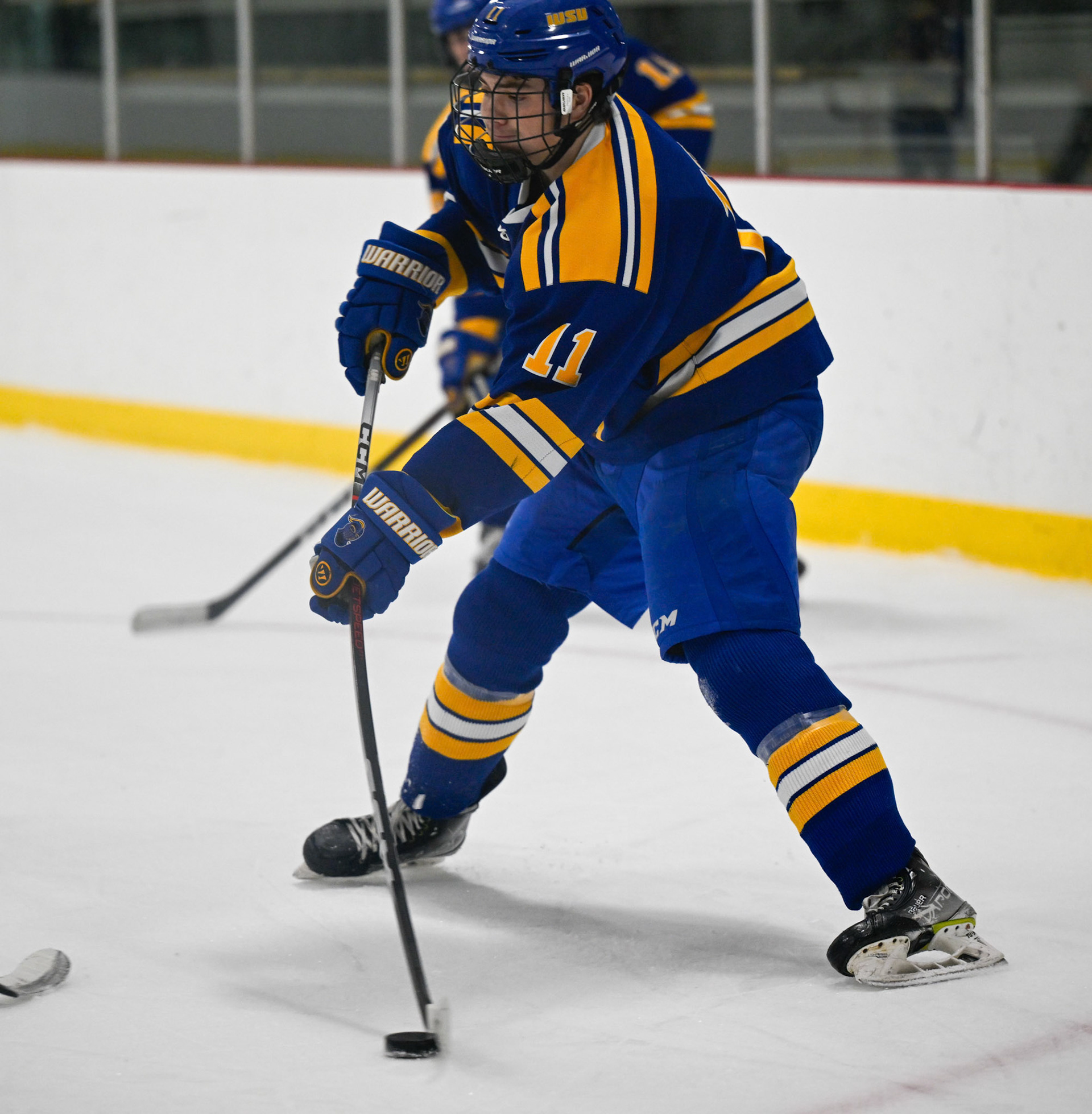 WSU Men's Ice Hockey
