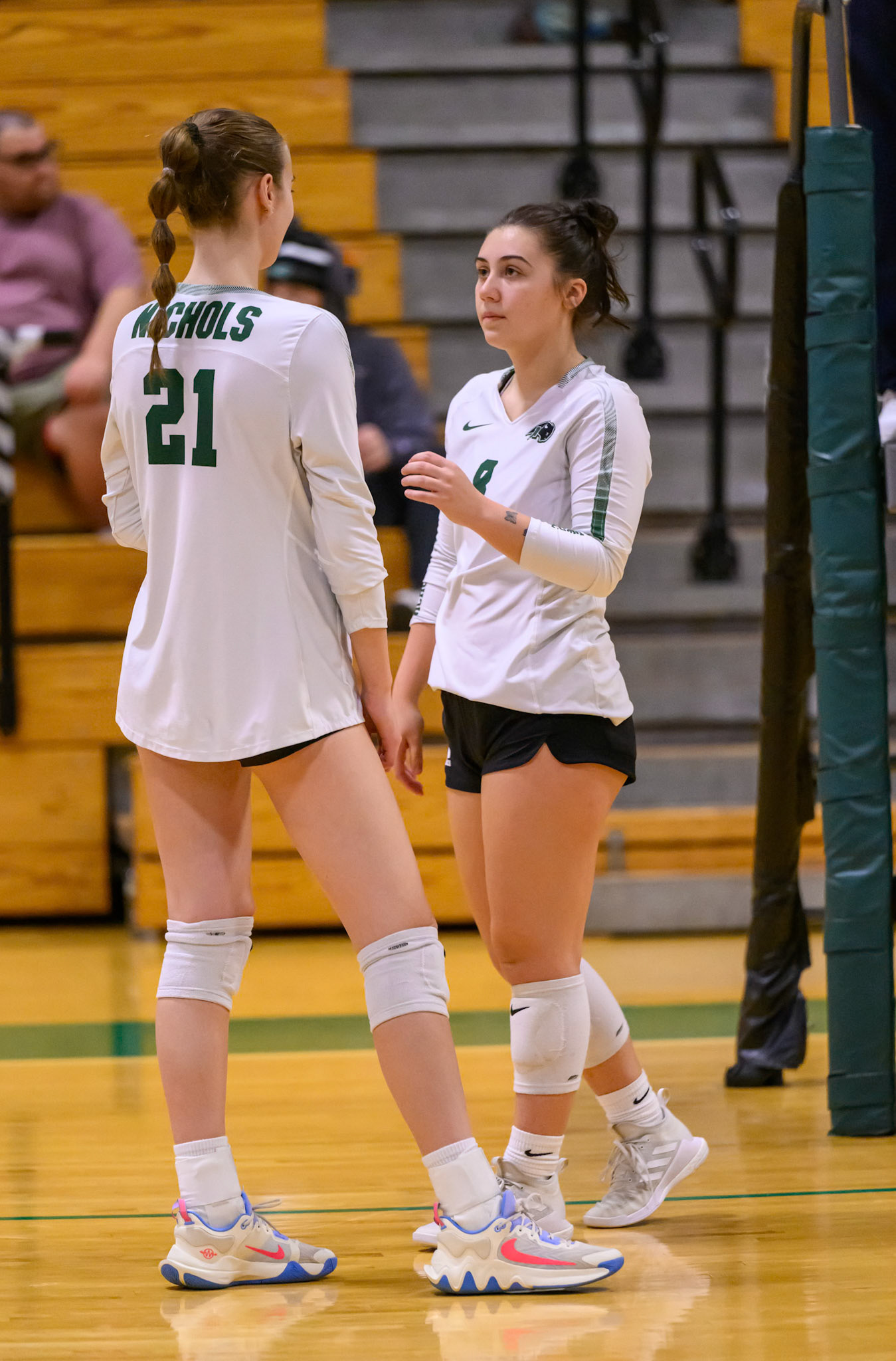 Nichols Volleyball