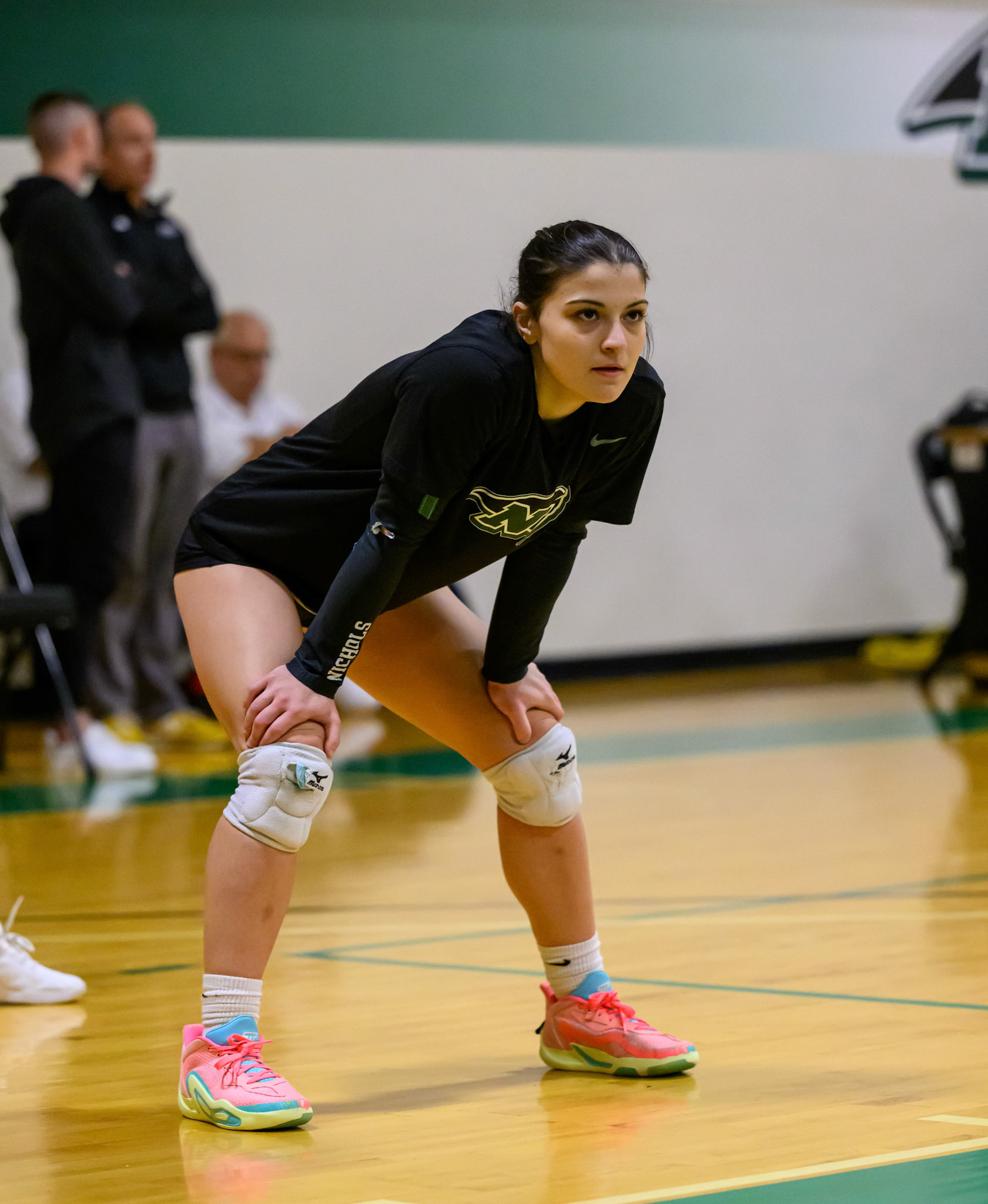 Nichols Volleyball