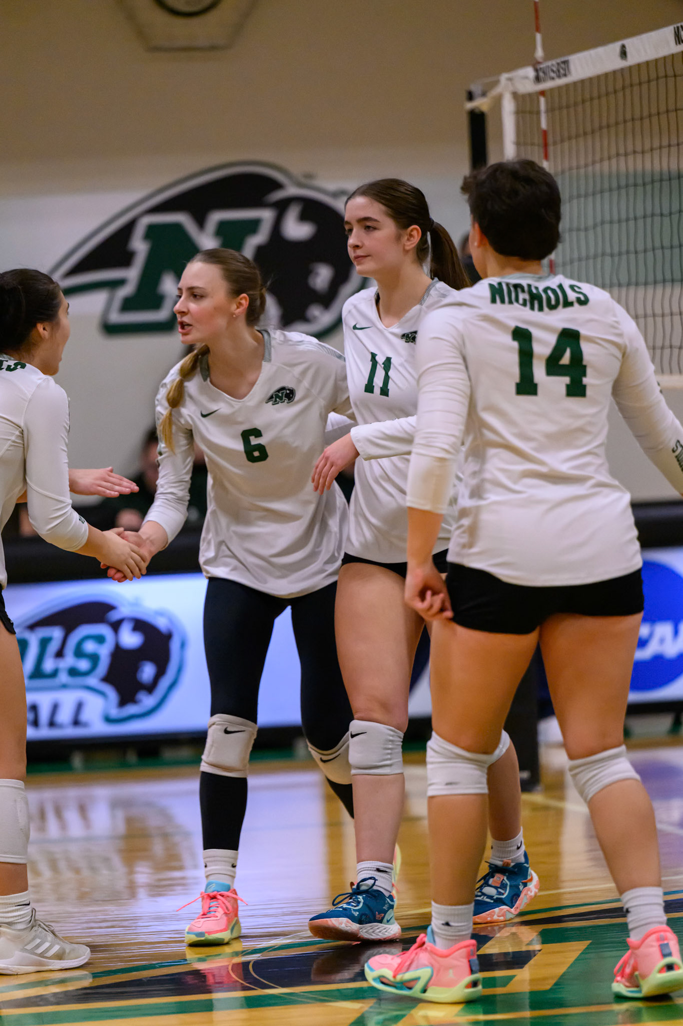 Nichols Volleyball