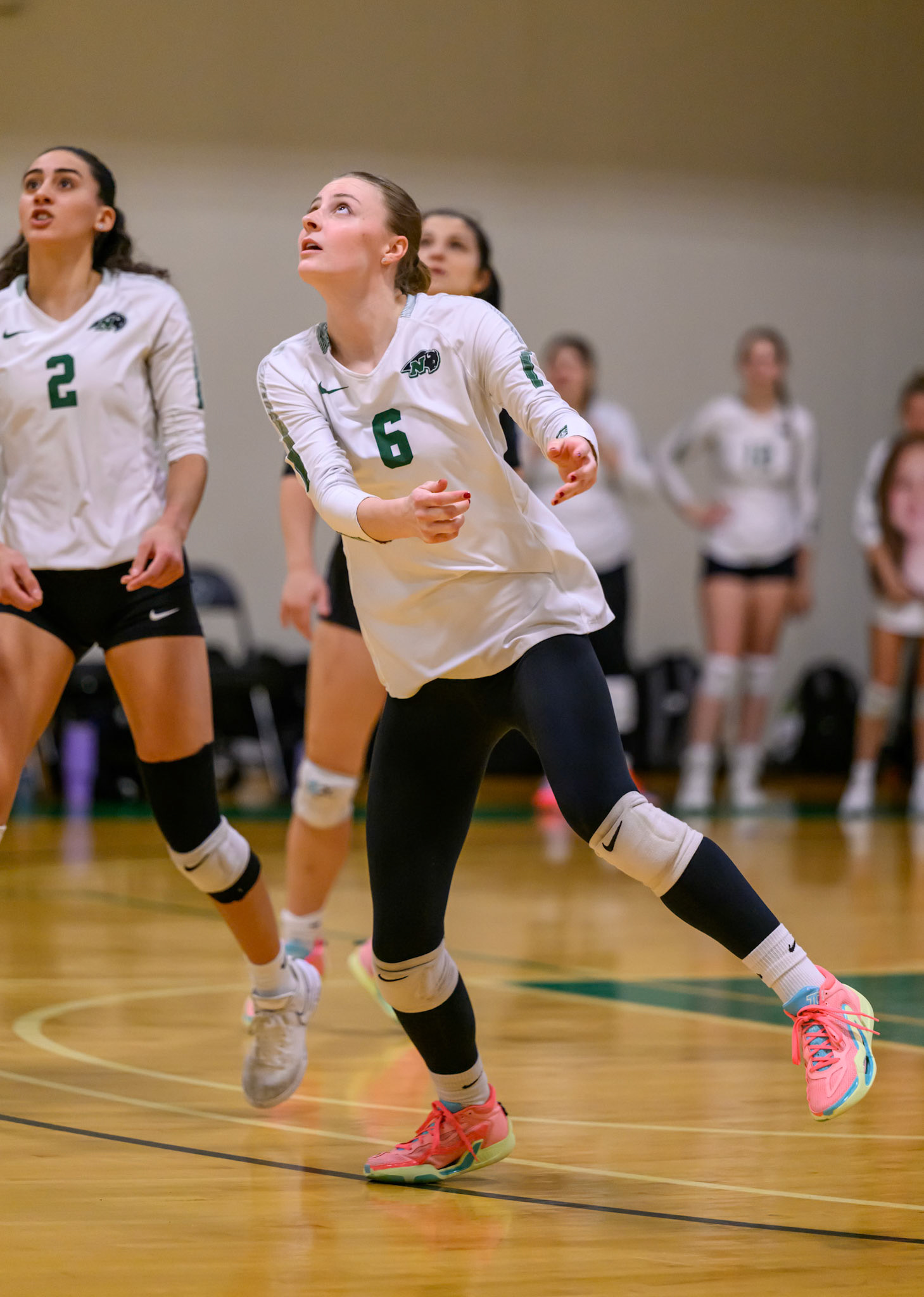 Nichols Volleyball