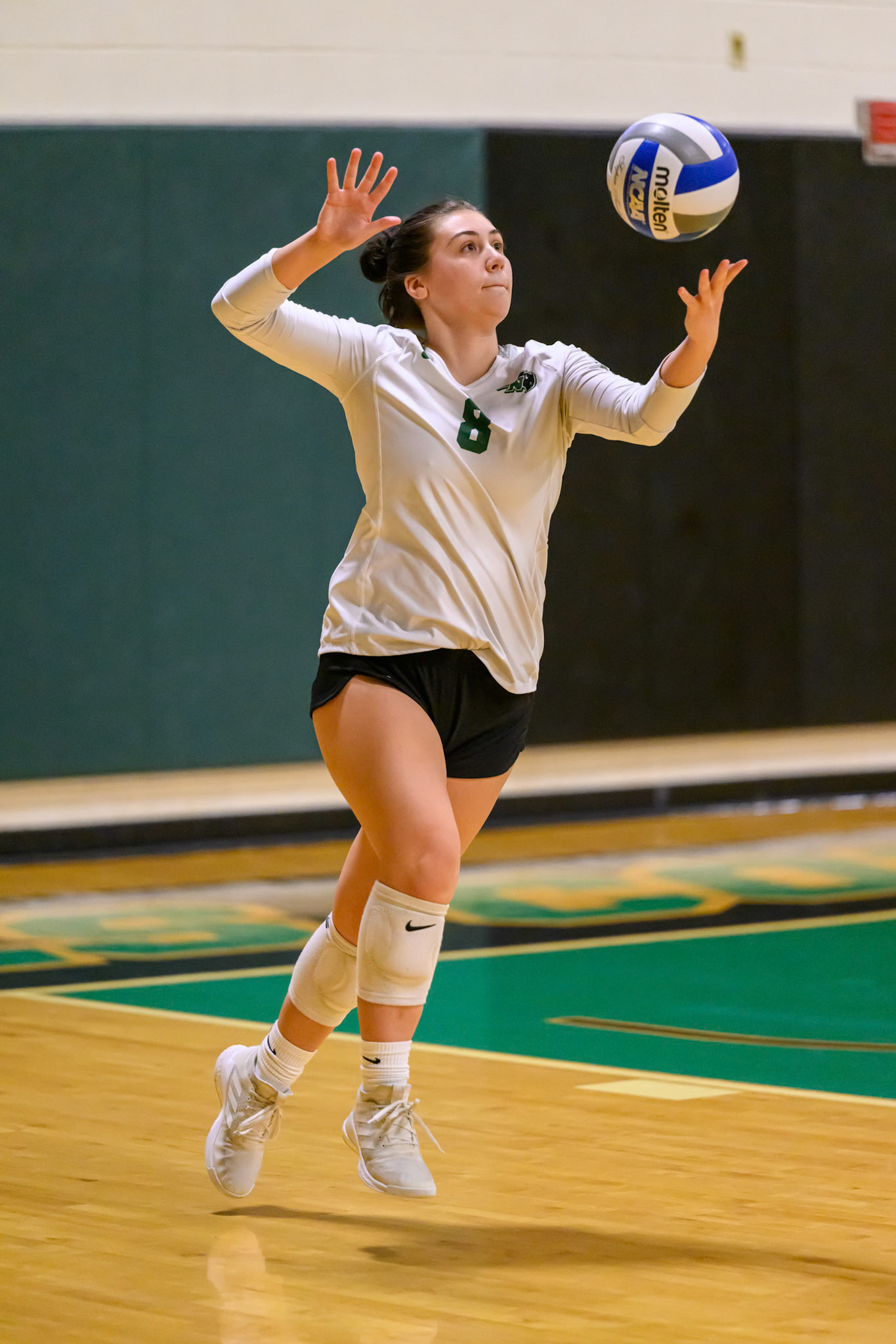 Nichols Volleyball