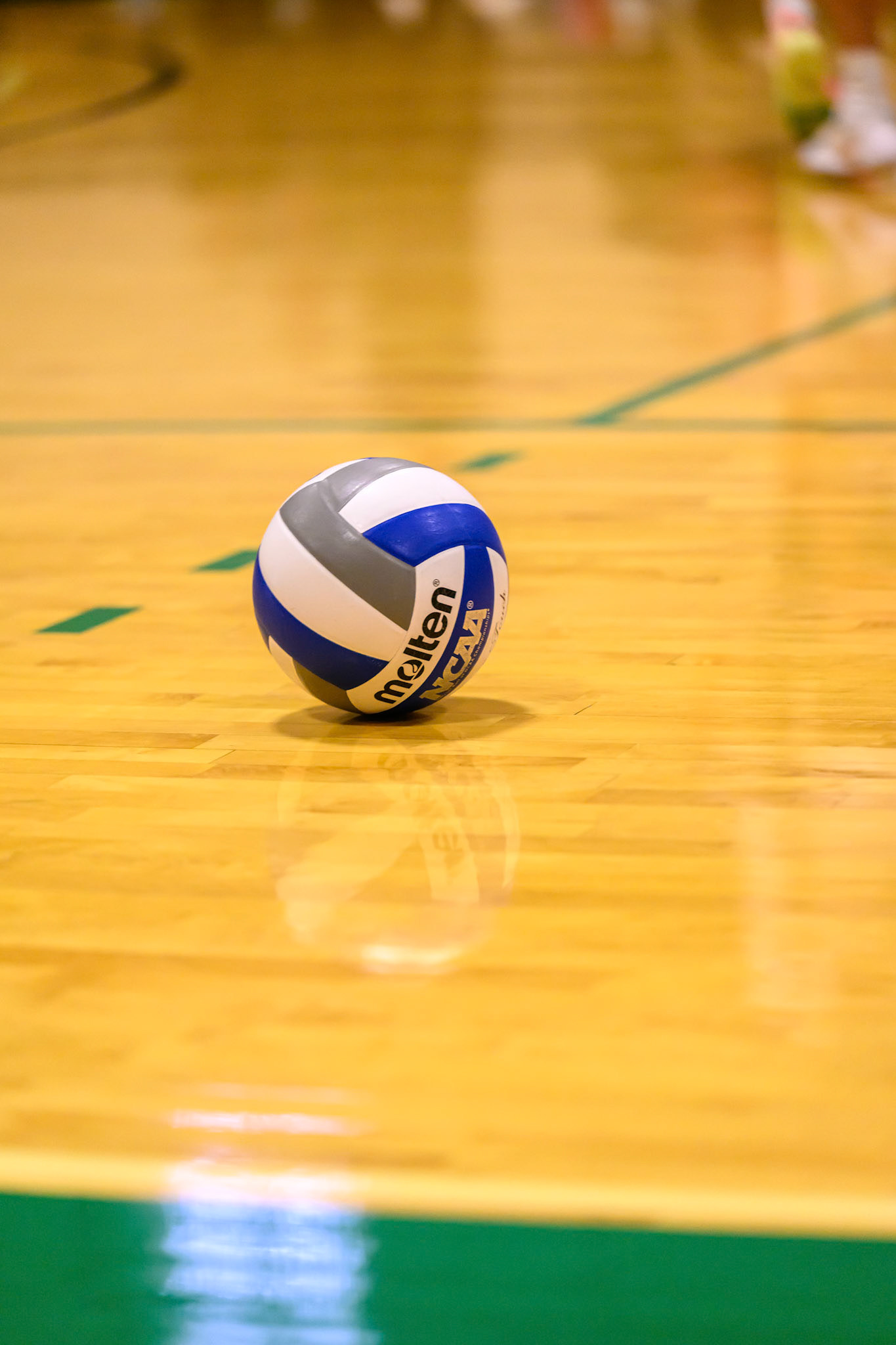 Nichols Volleyball