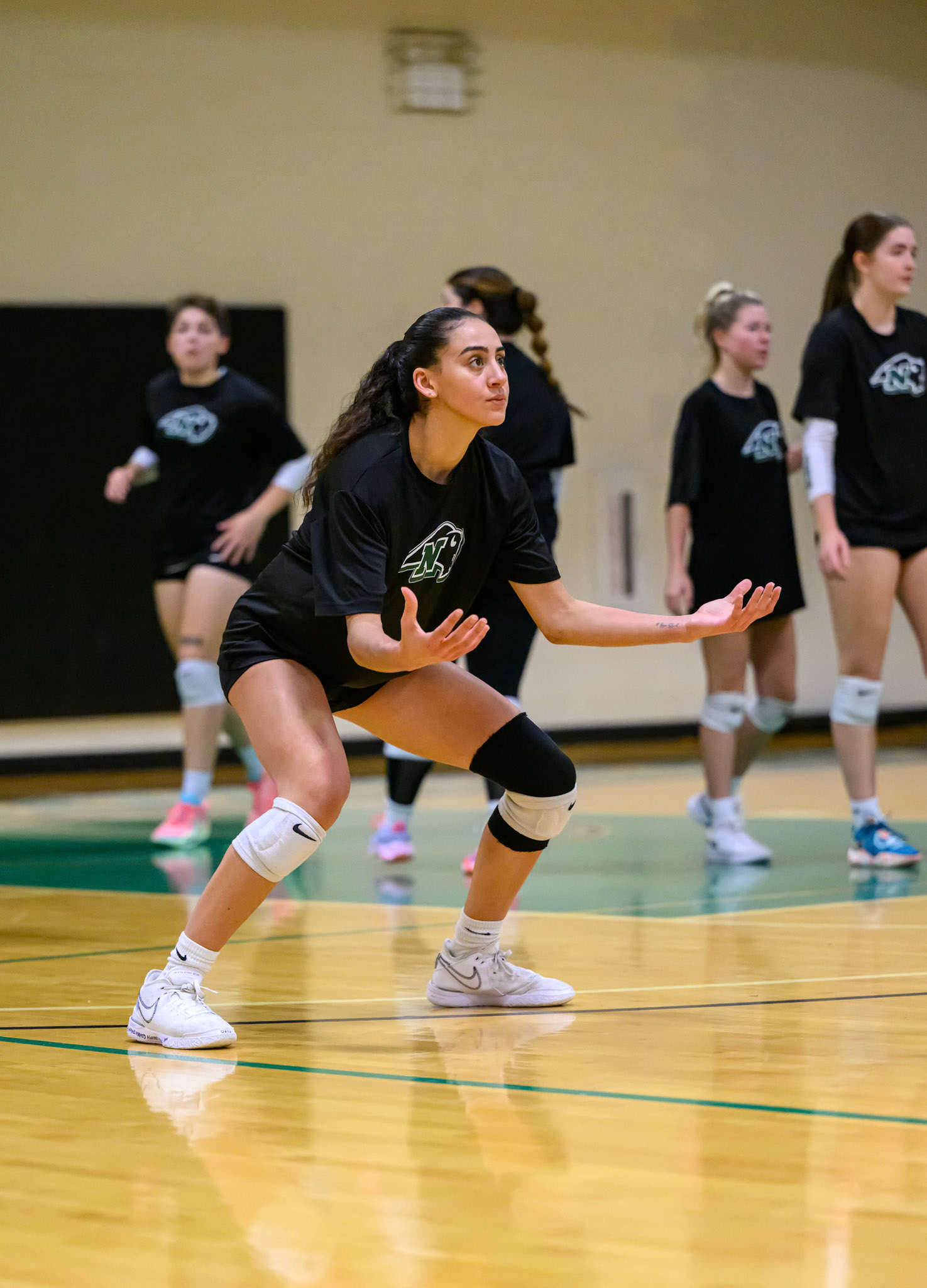 Nichols Volleyball