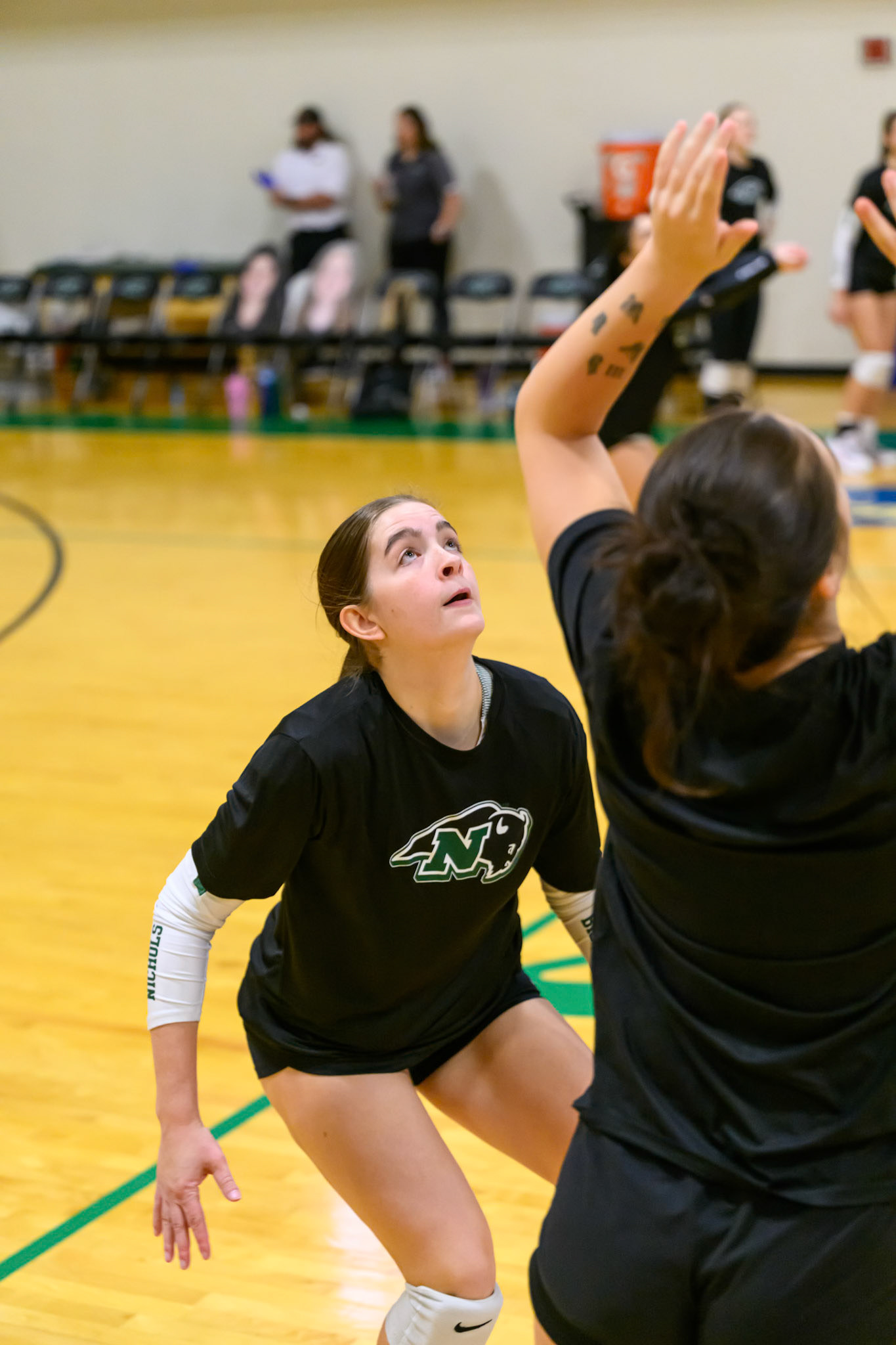 Nichols Volleyball