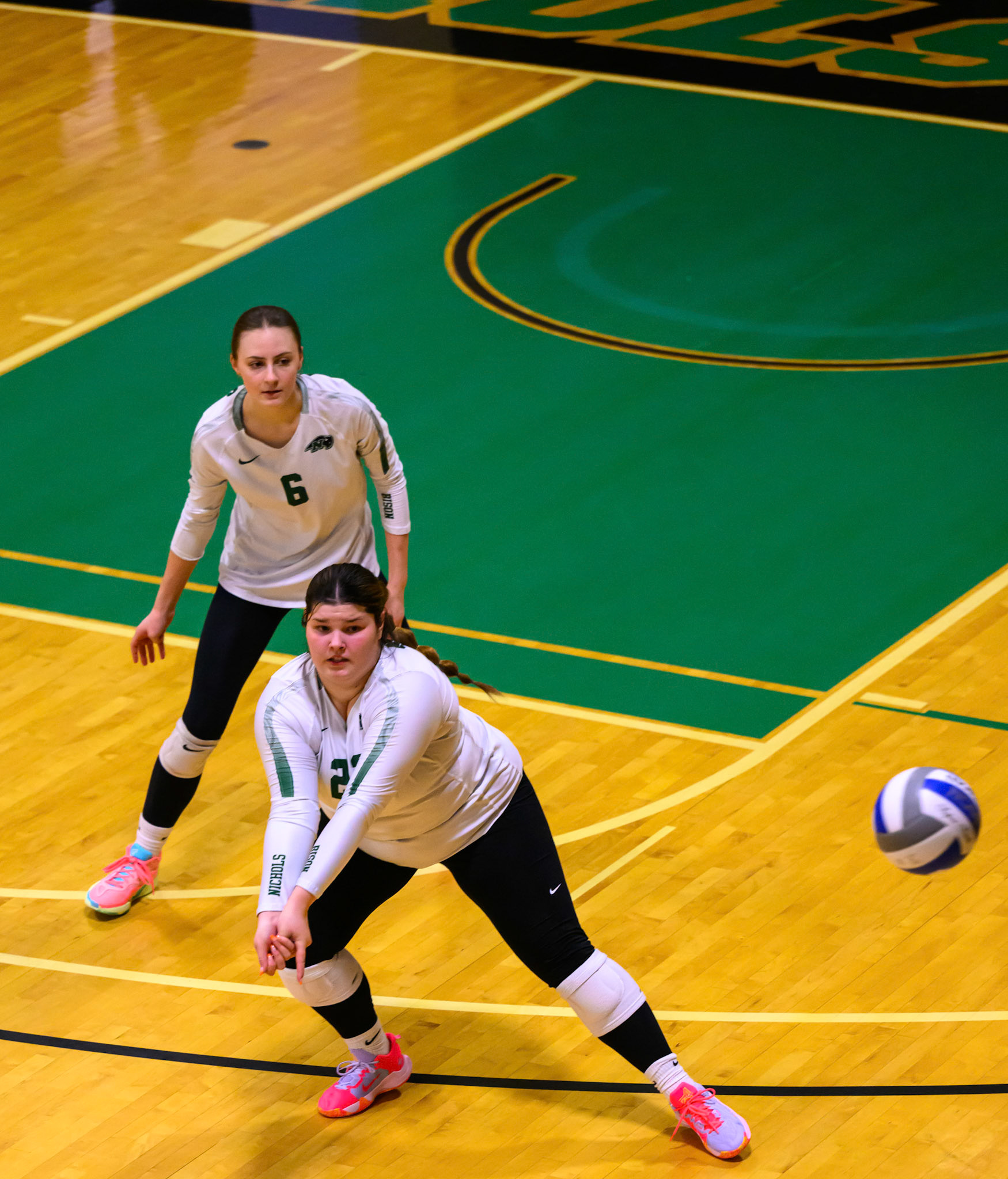 Nichols Volleyball
