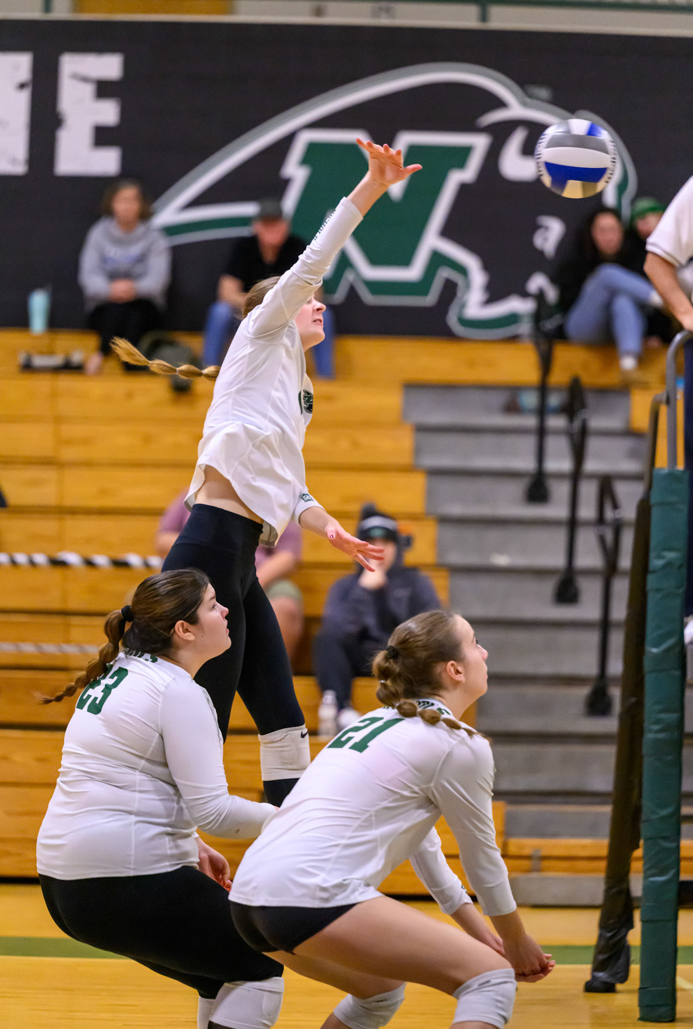 Nichols Volleyball