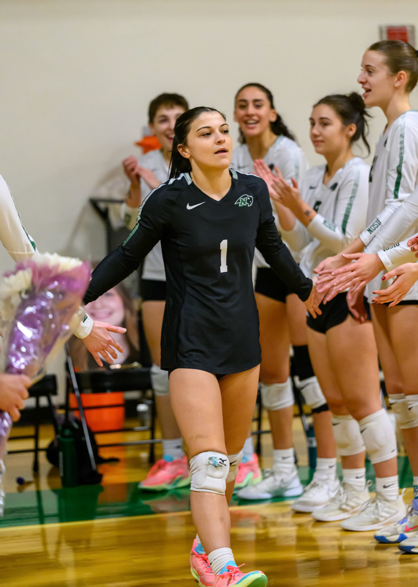 Nichols Volleyball