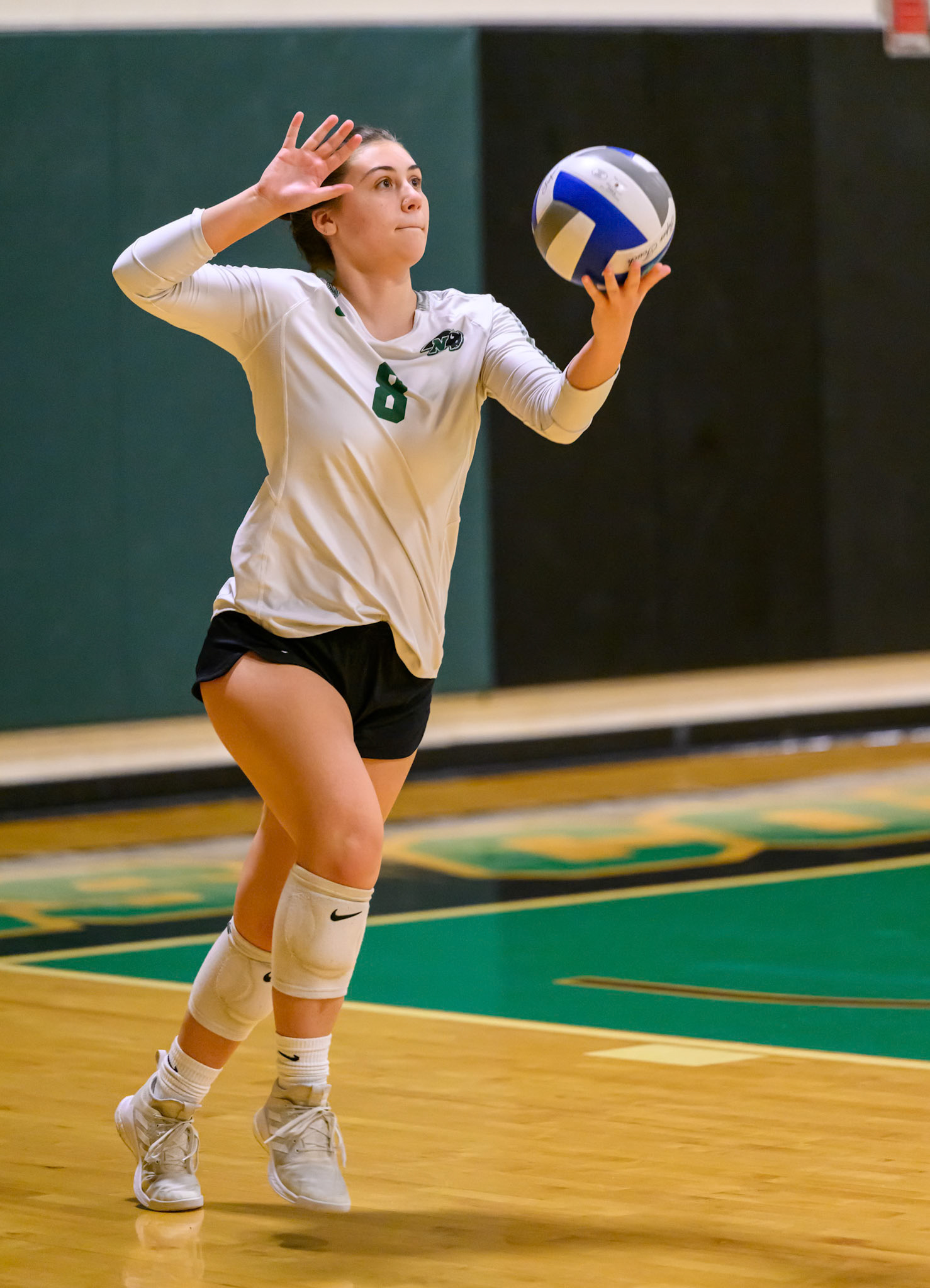 Nichols Volleyball