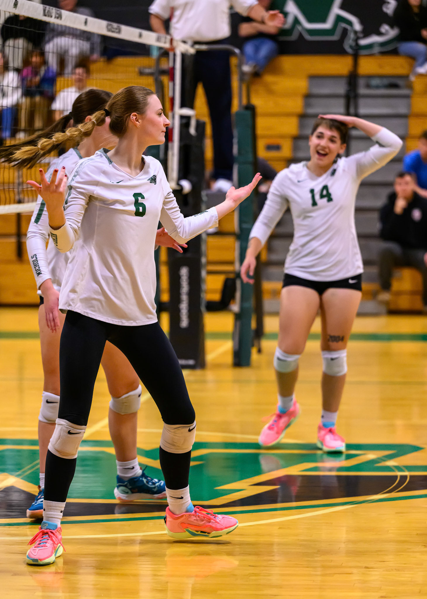 Nichols Volleyball