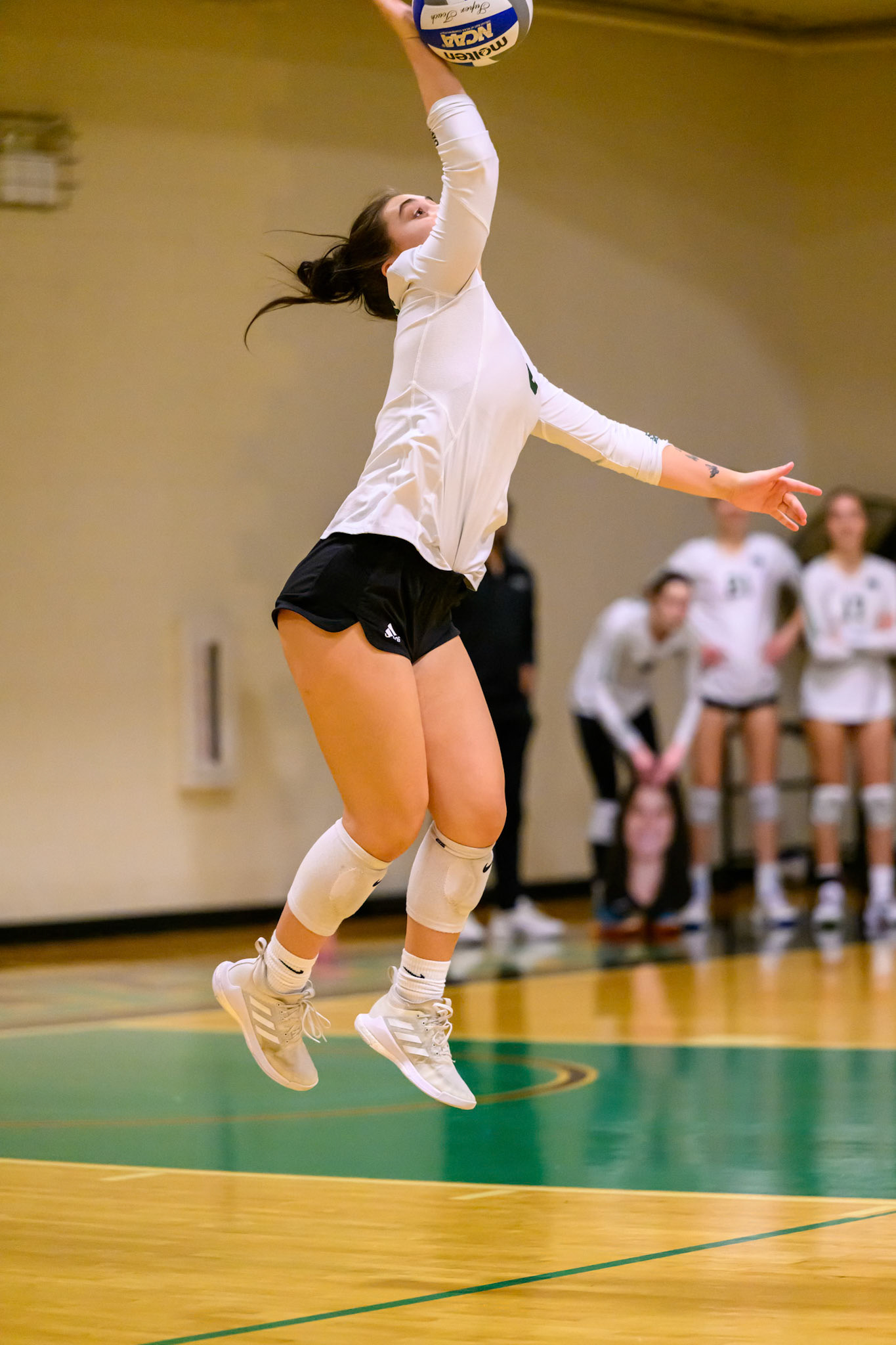 Nichols Volleyball
