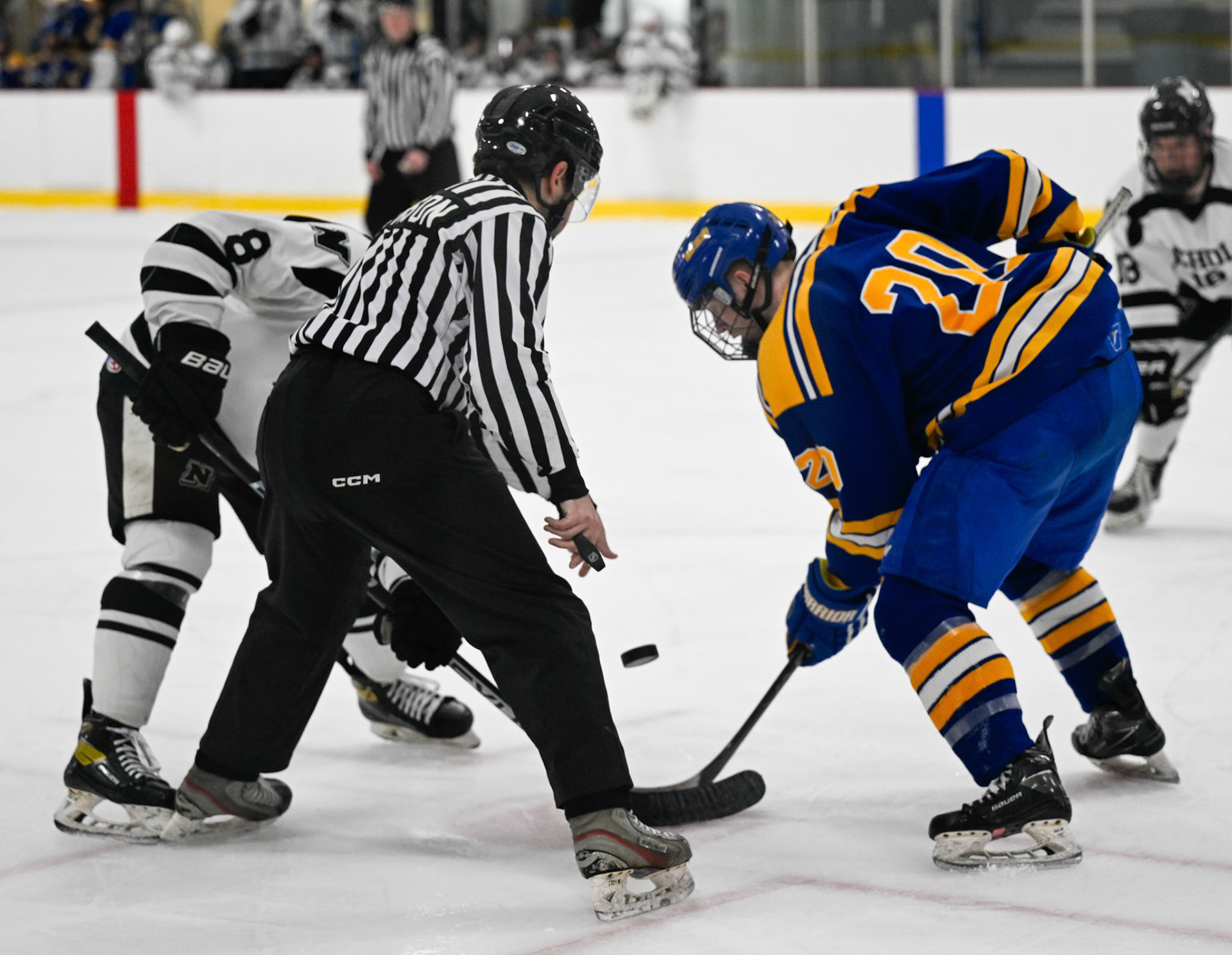 WSU Men's Ice Hockey