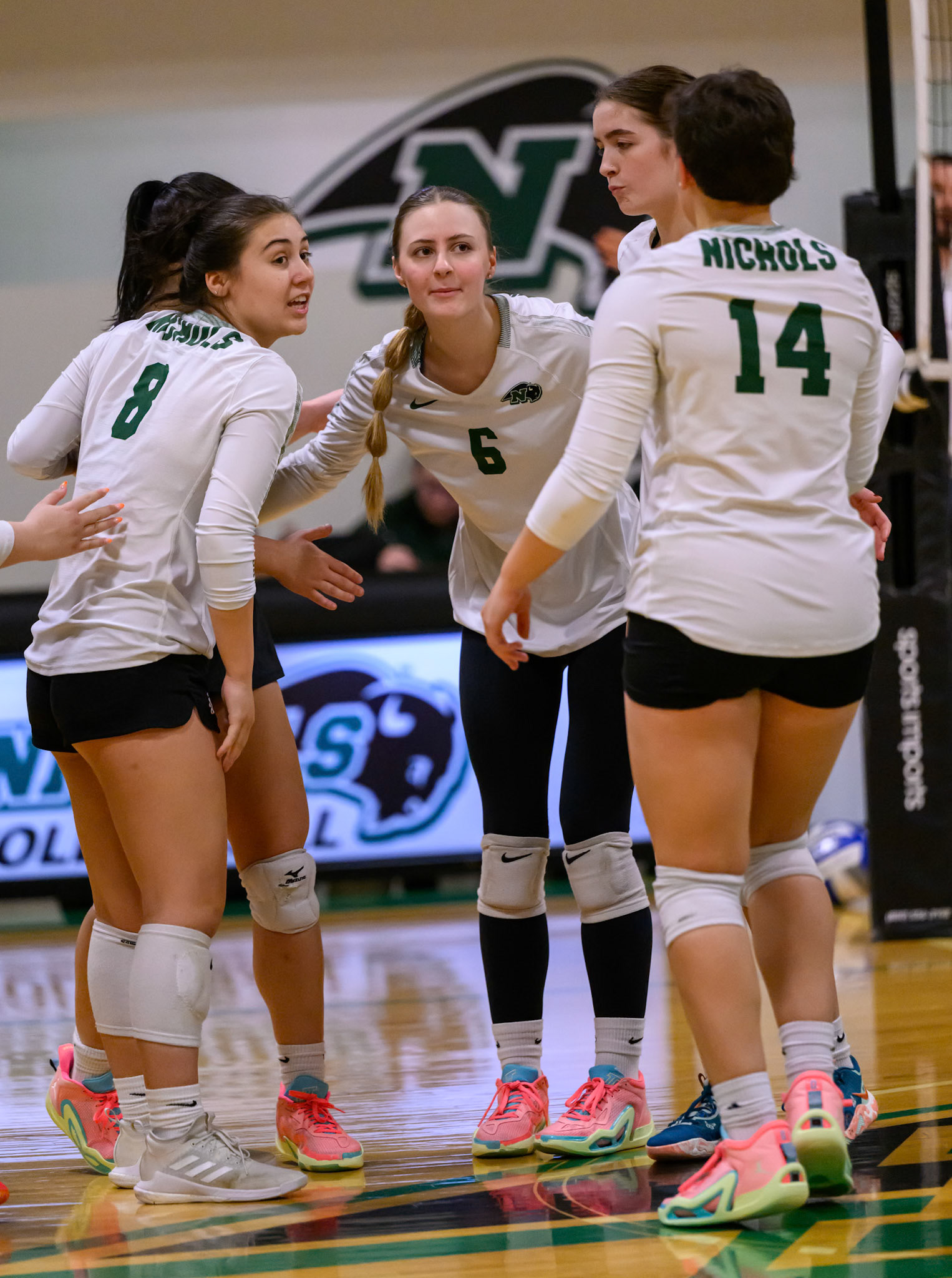 Nichols Volleyball