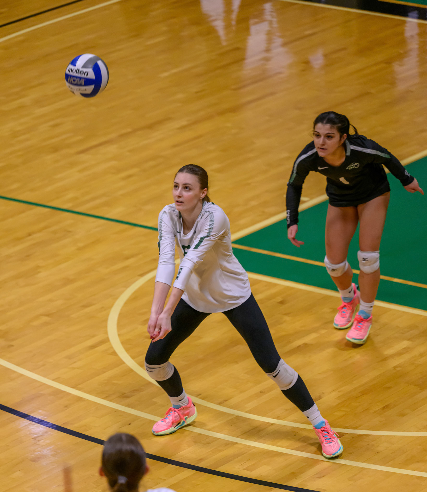 Nichols Volleyball