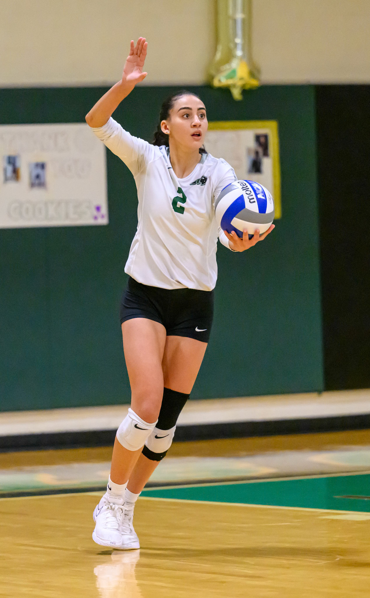 Nichols Volleyball