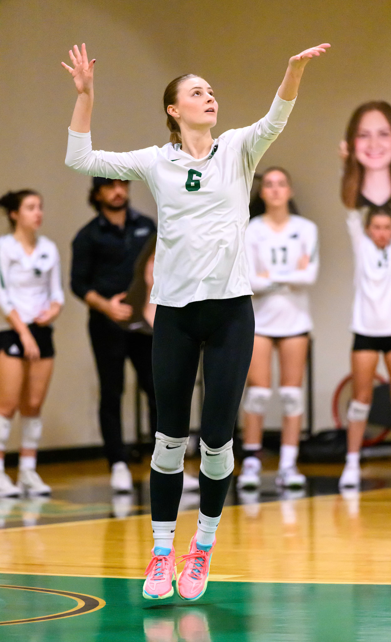 Nichols Volleyball