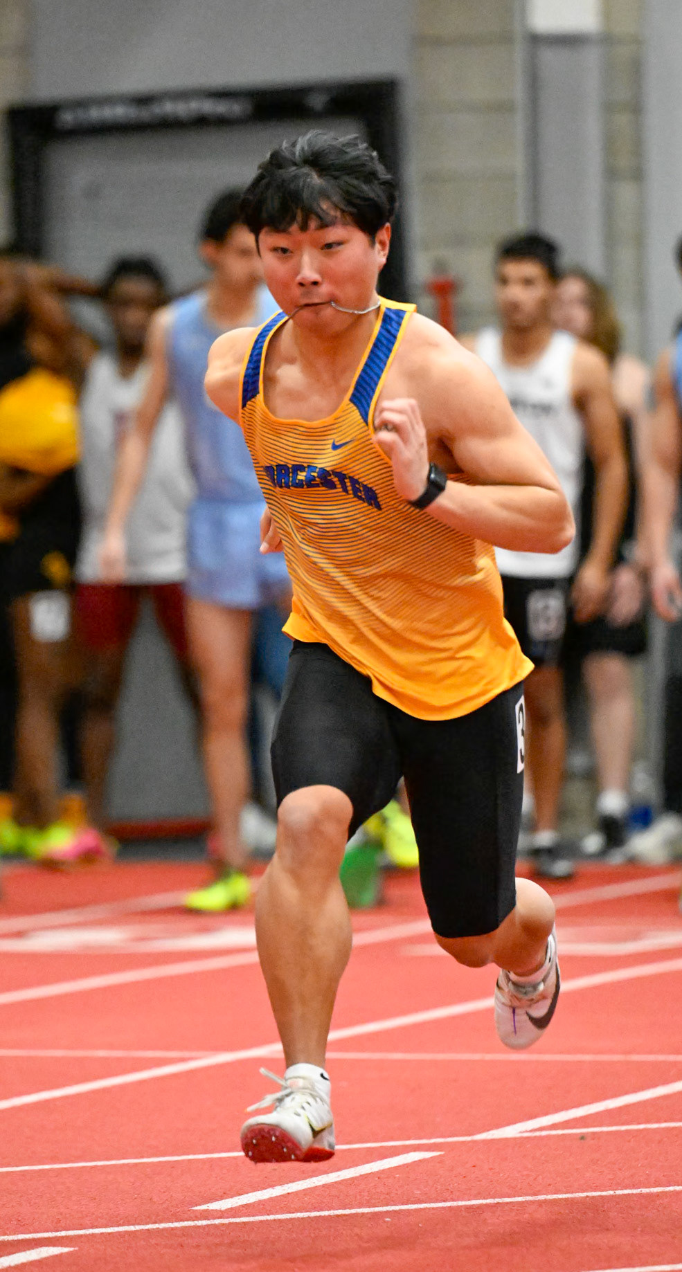 Worcester State Track