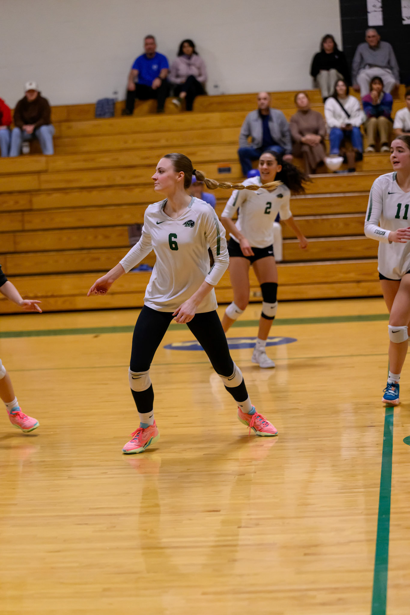 Nichols Volleyball
