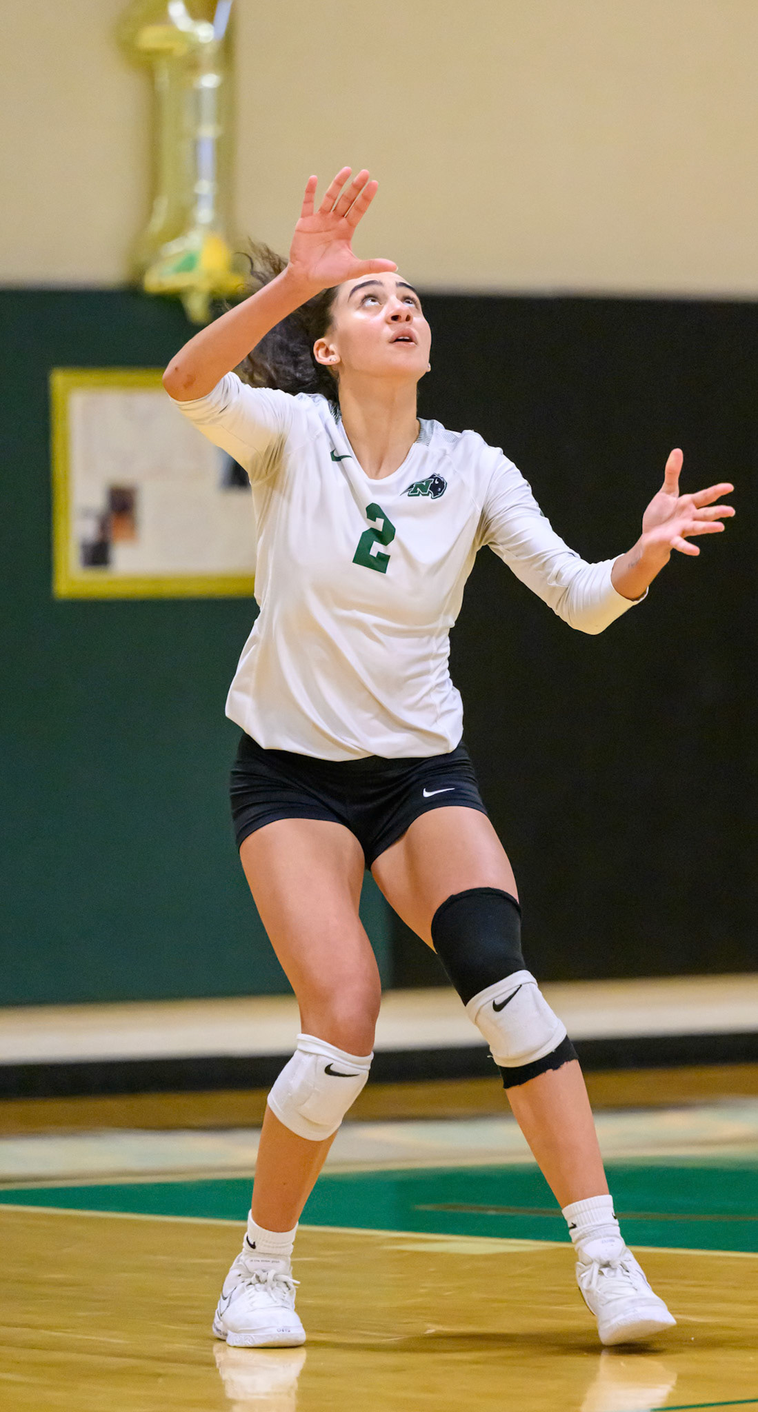 Nichols Volleyball