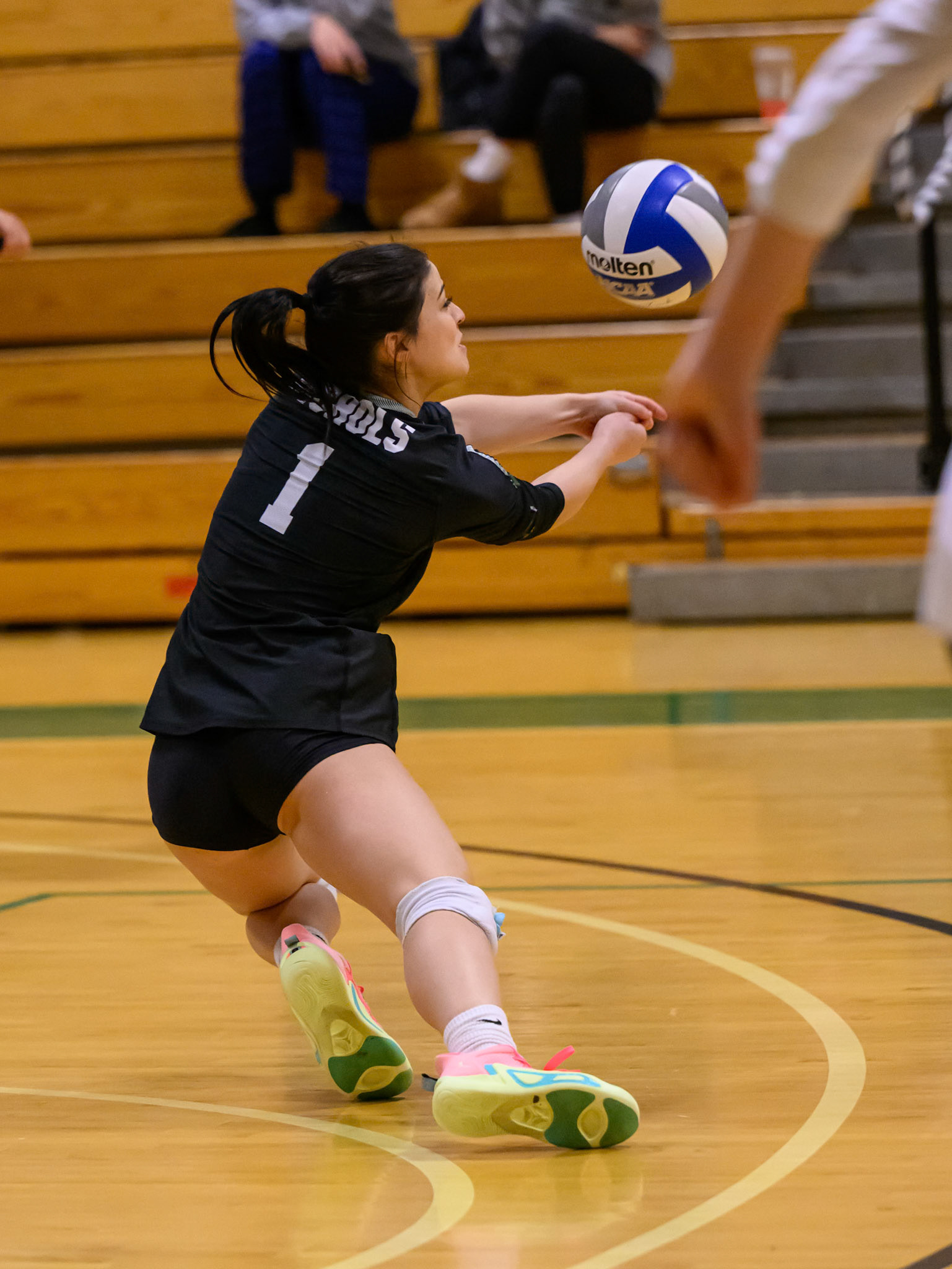 Nichols Volleyball
