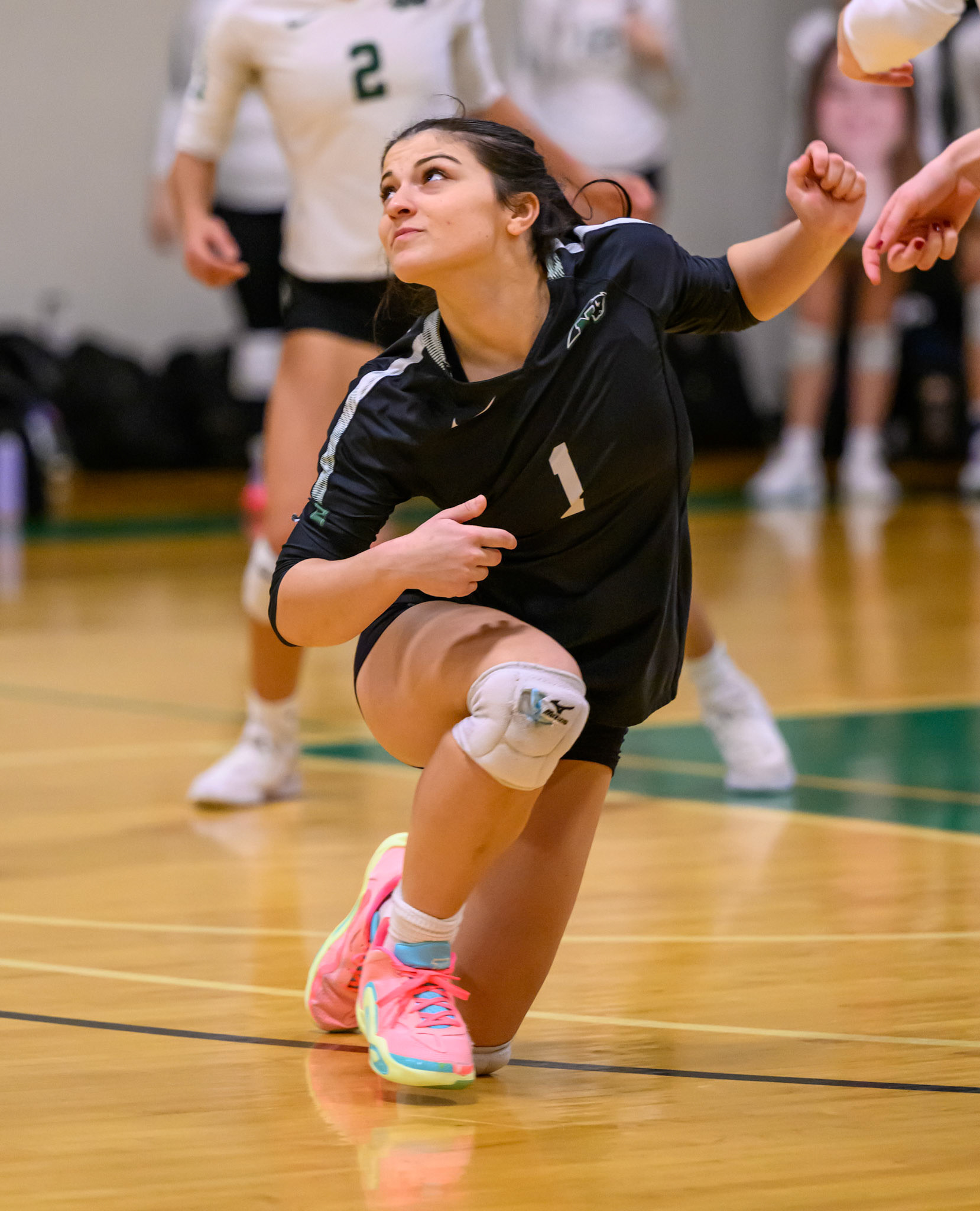 Nichols Volleyball