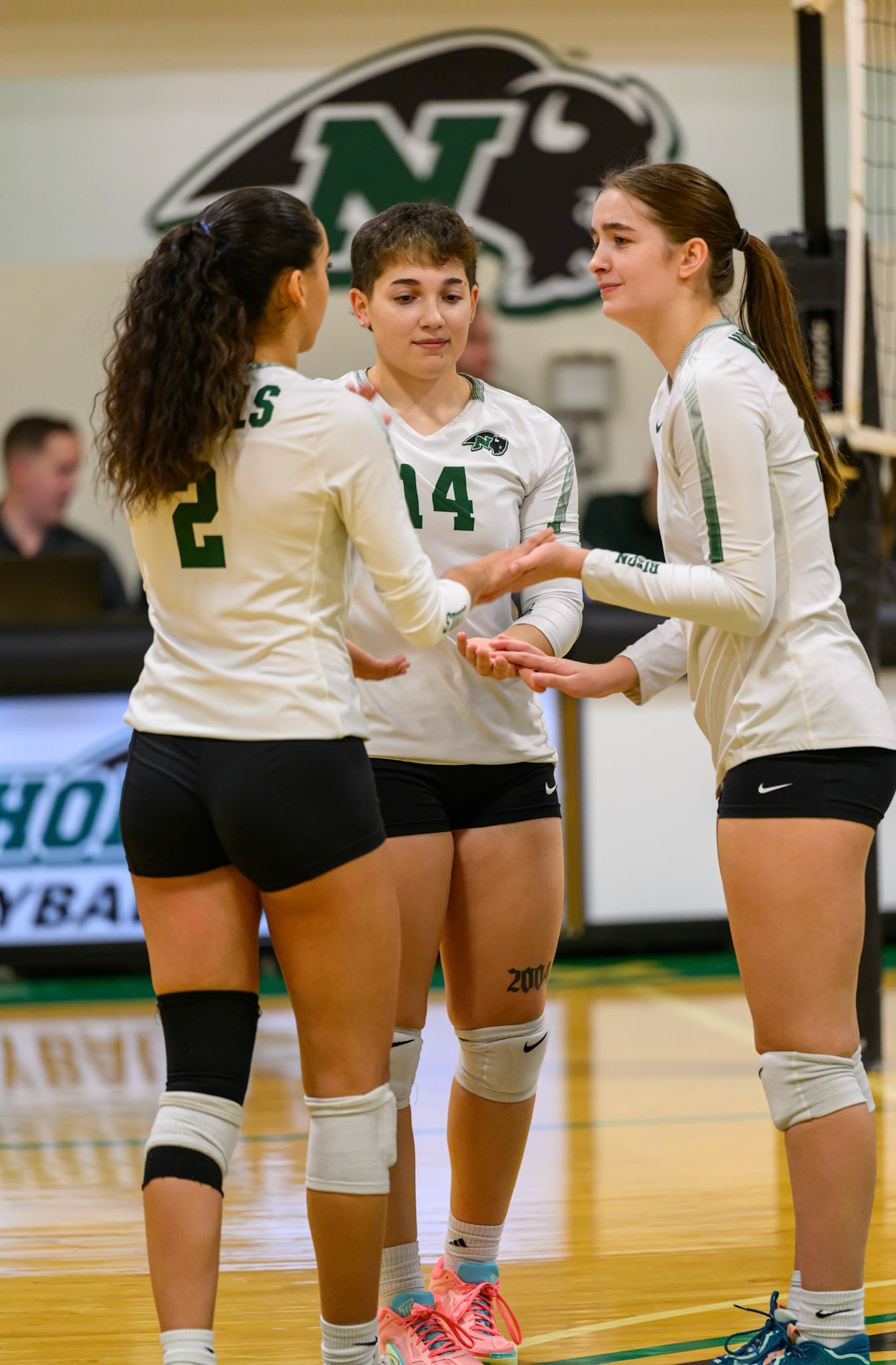 Nichols Volleyball