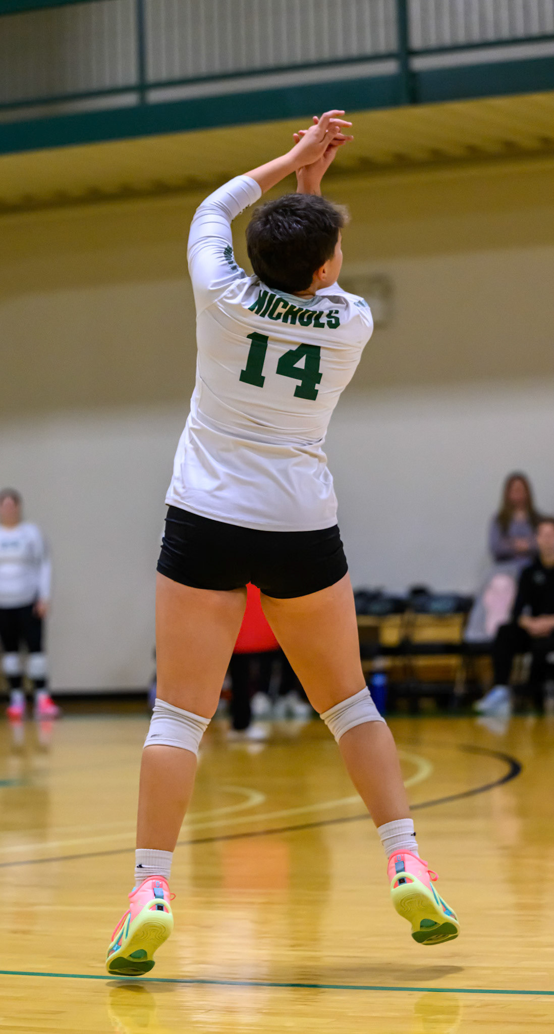 Nichols Volleyball
