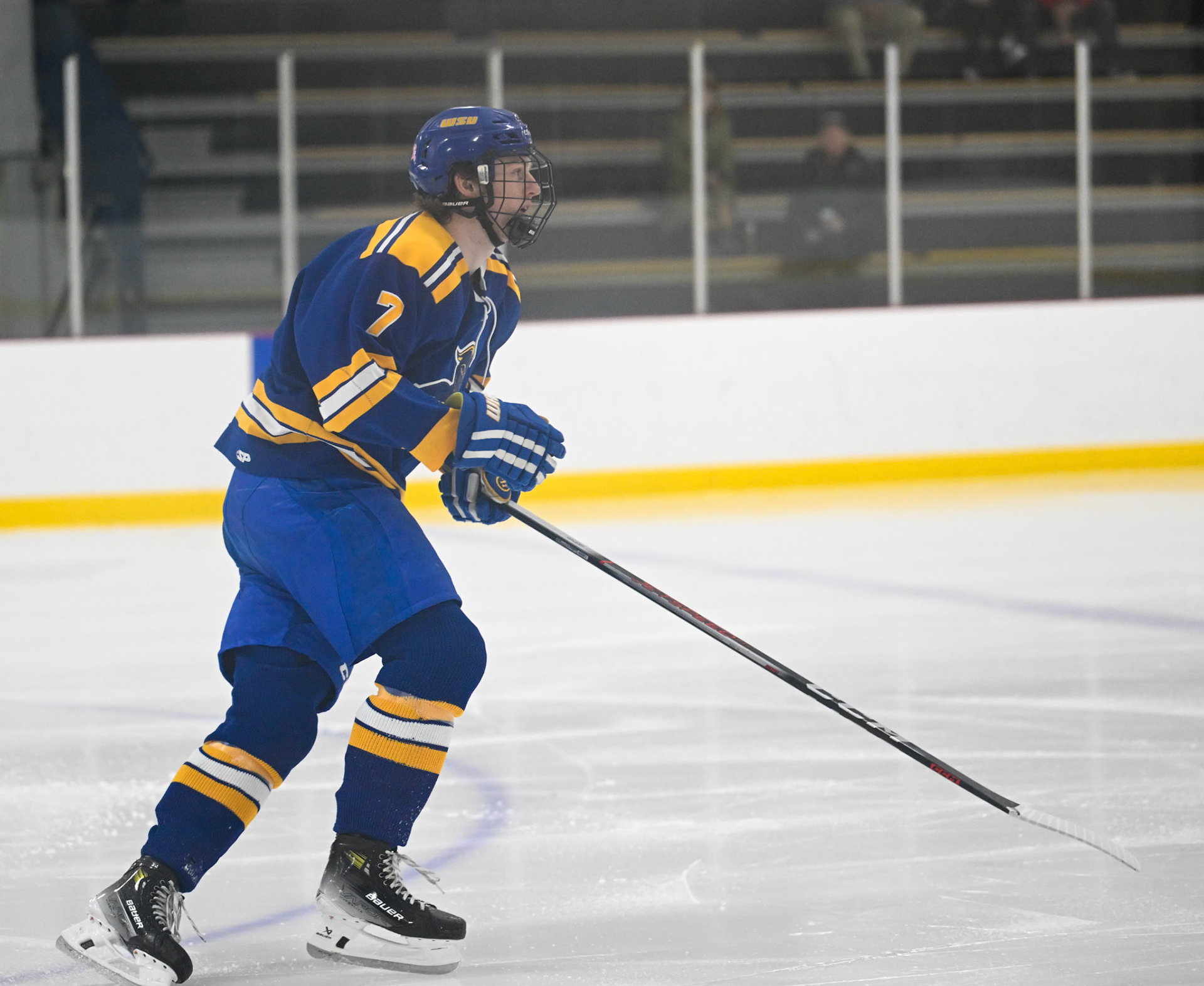 WSU Men's Ice Hockey