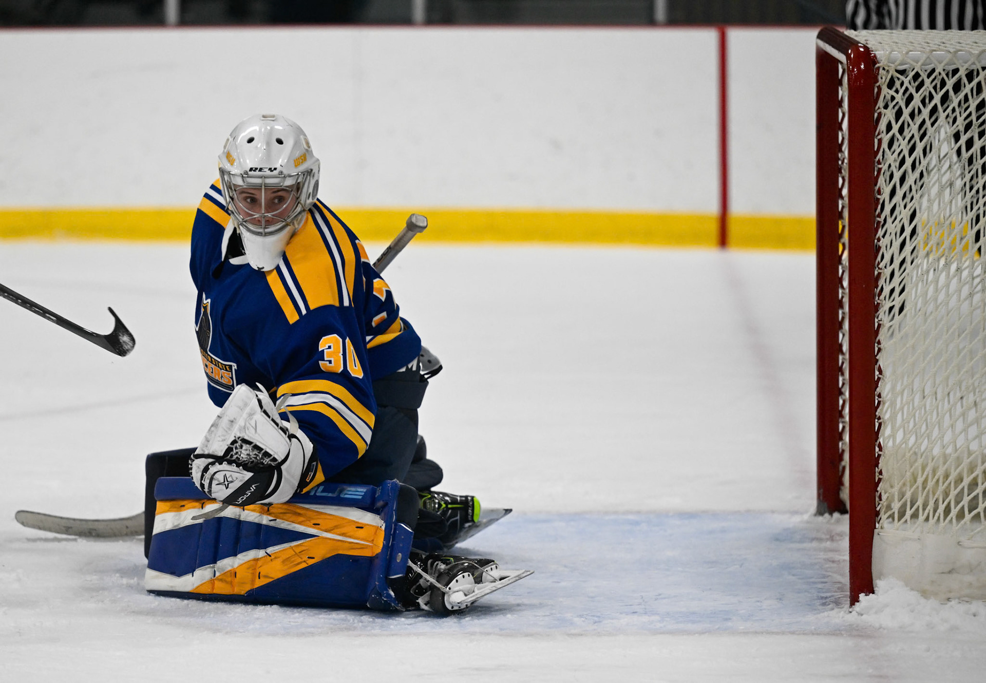WSU Men's Ice Hockey