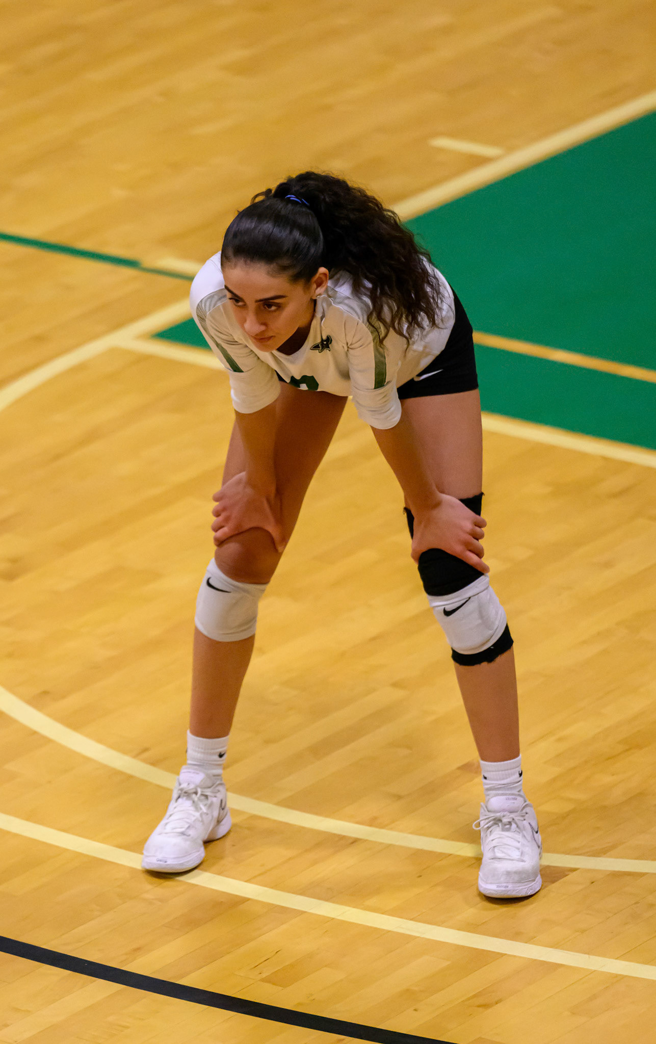Nichols Volleyball