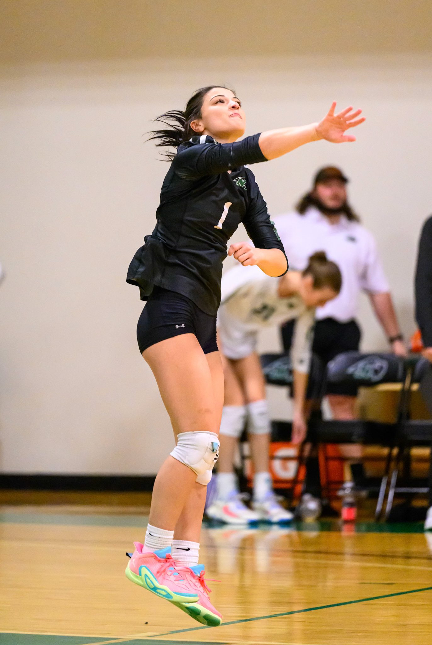 Nichols Volleyball